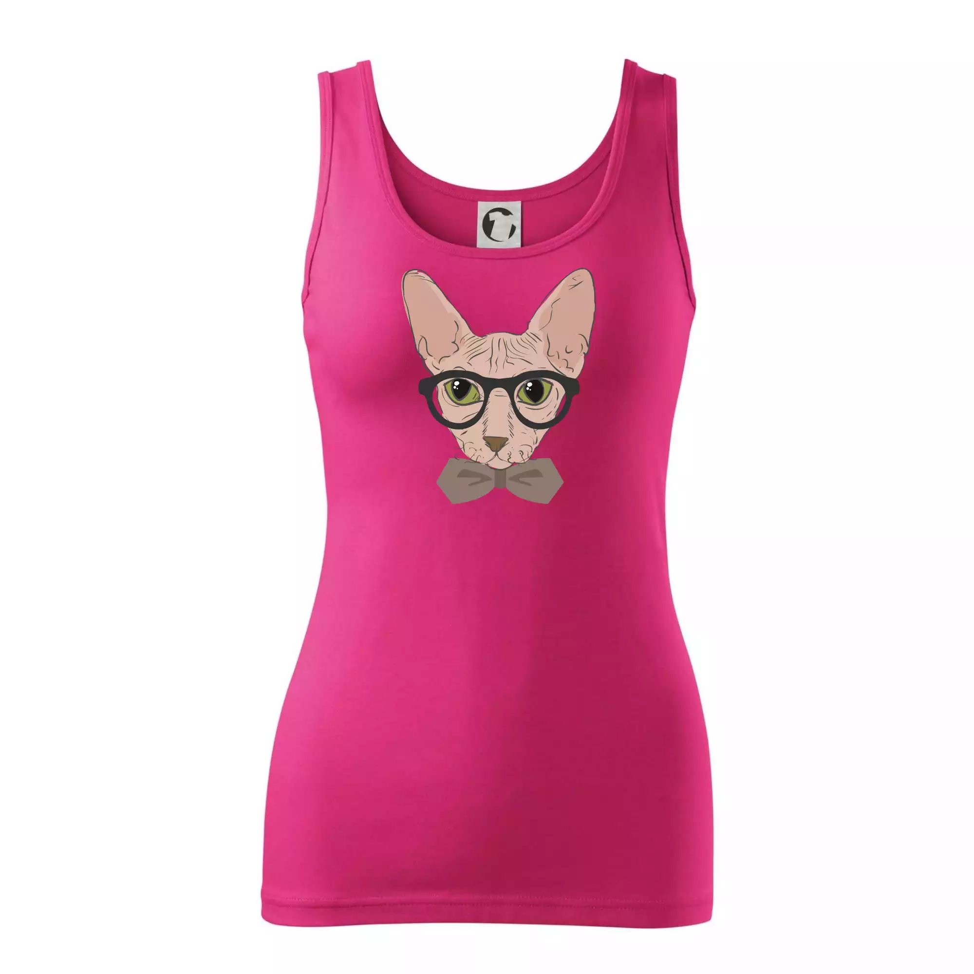 Hipster sphynx
