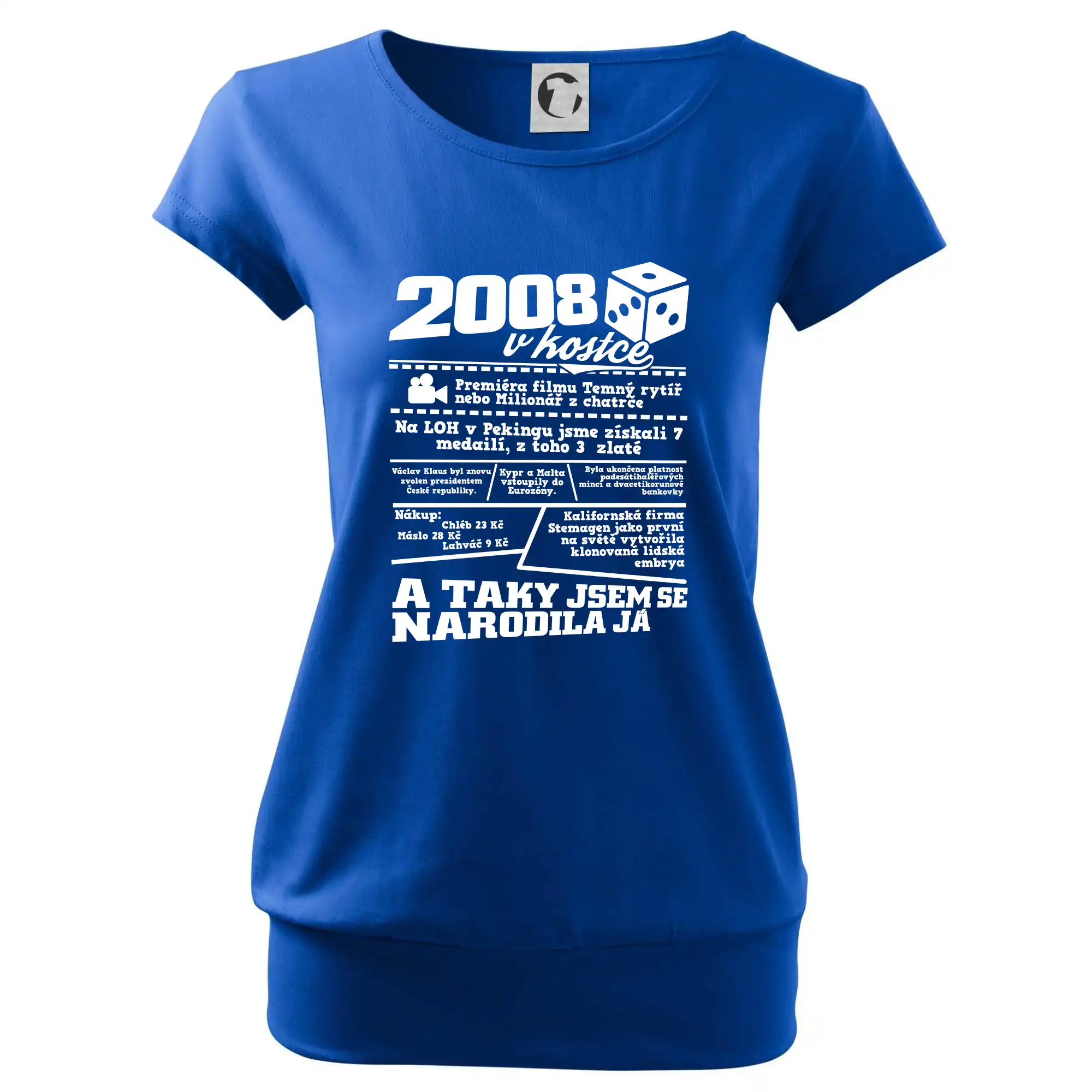 2008 v kostce