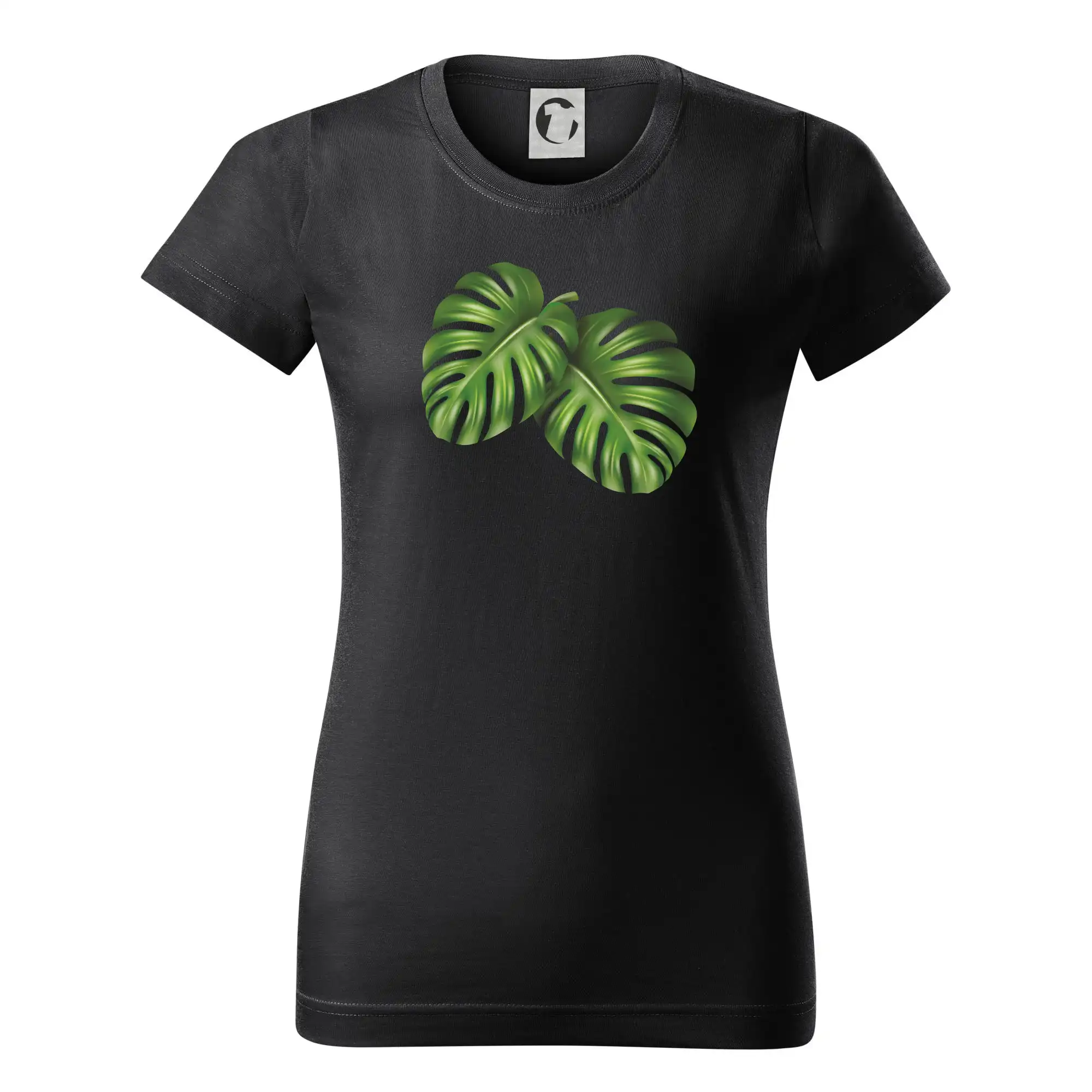 Monstera - dva listy