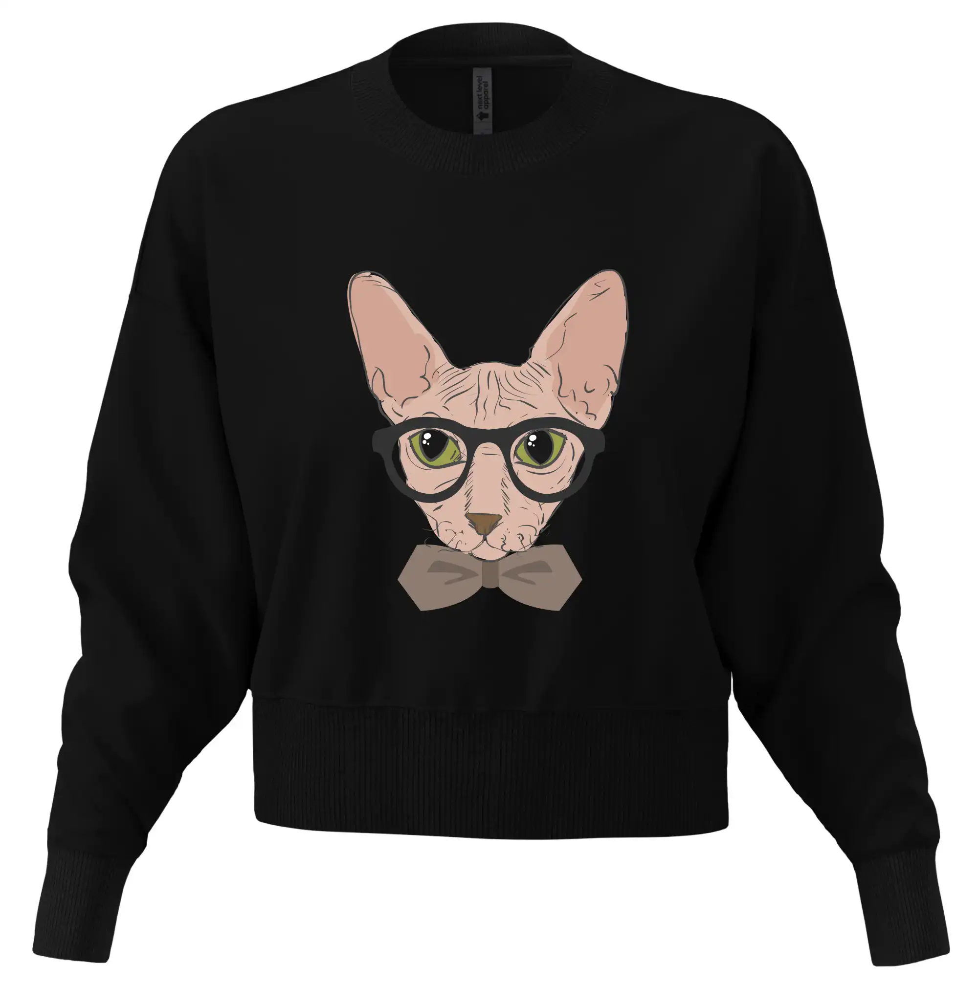 Hipster sphynx