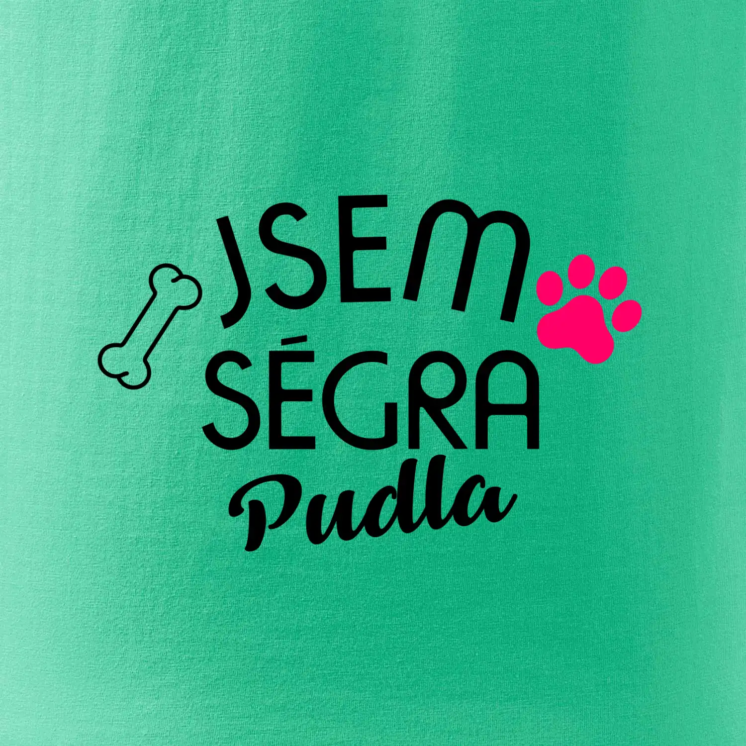 Jsem ségra Pudla