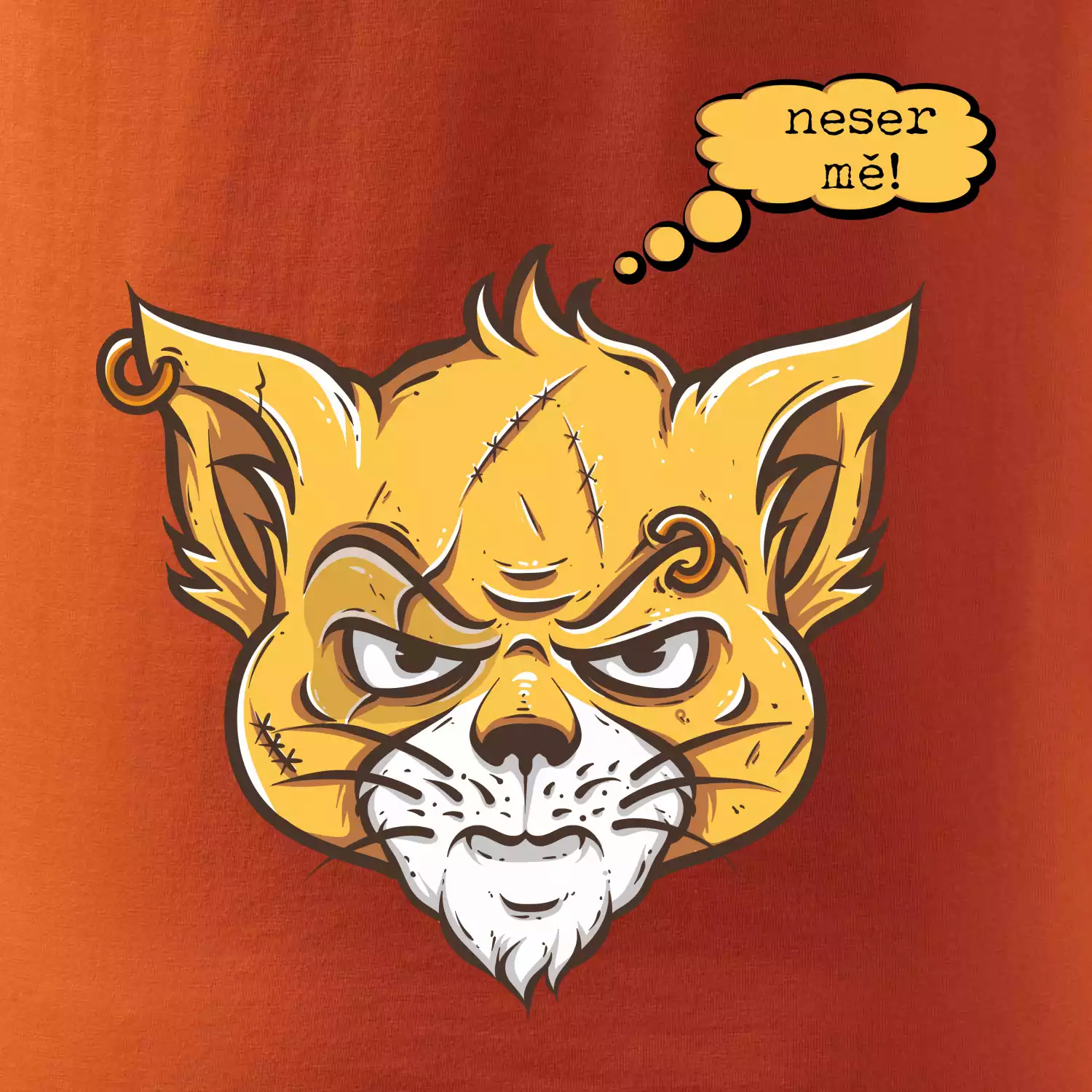 Kočka 