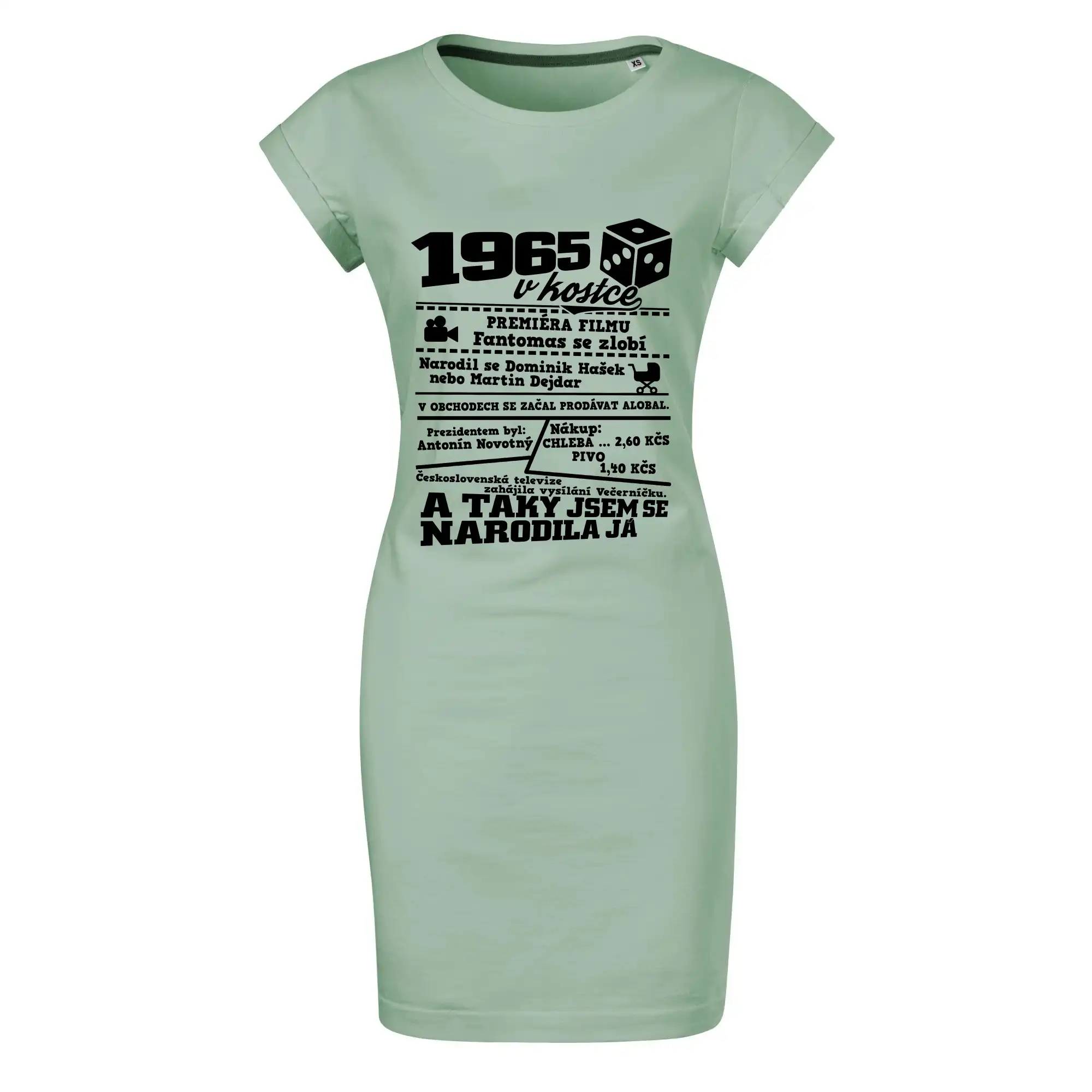 1965 v kostce