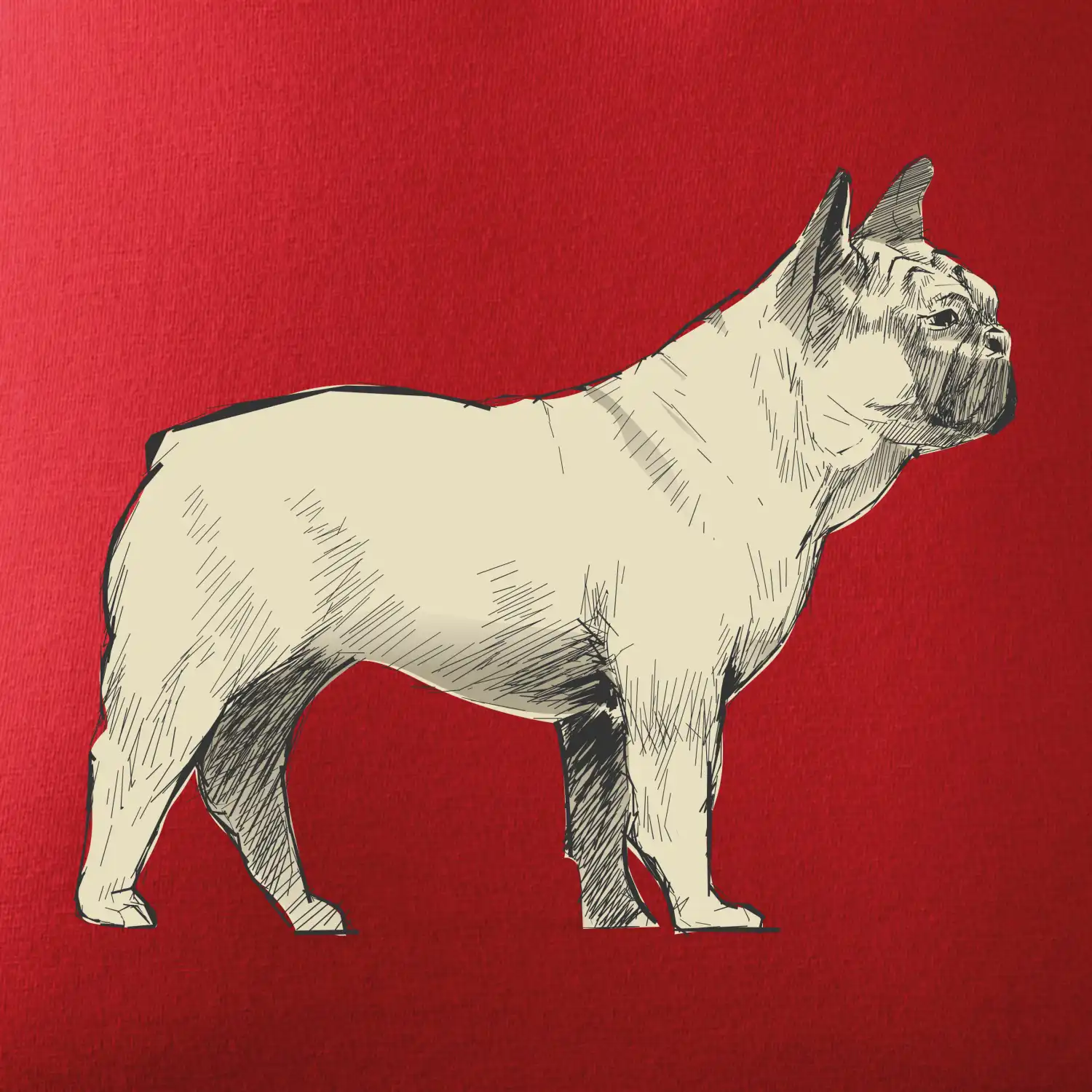 Vintage French bulldog