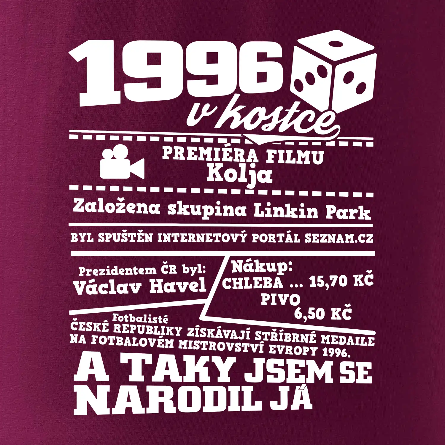 1996 v kostce