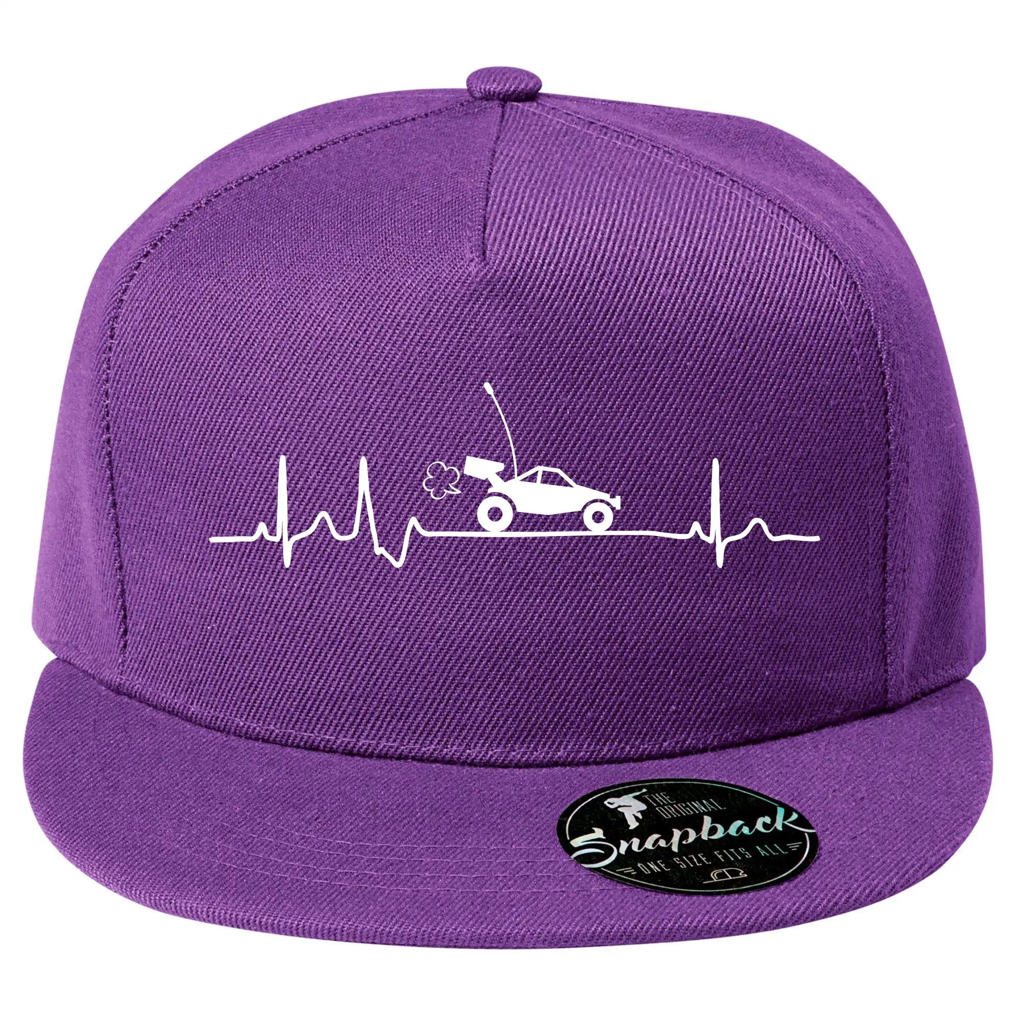 EKG RC model