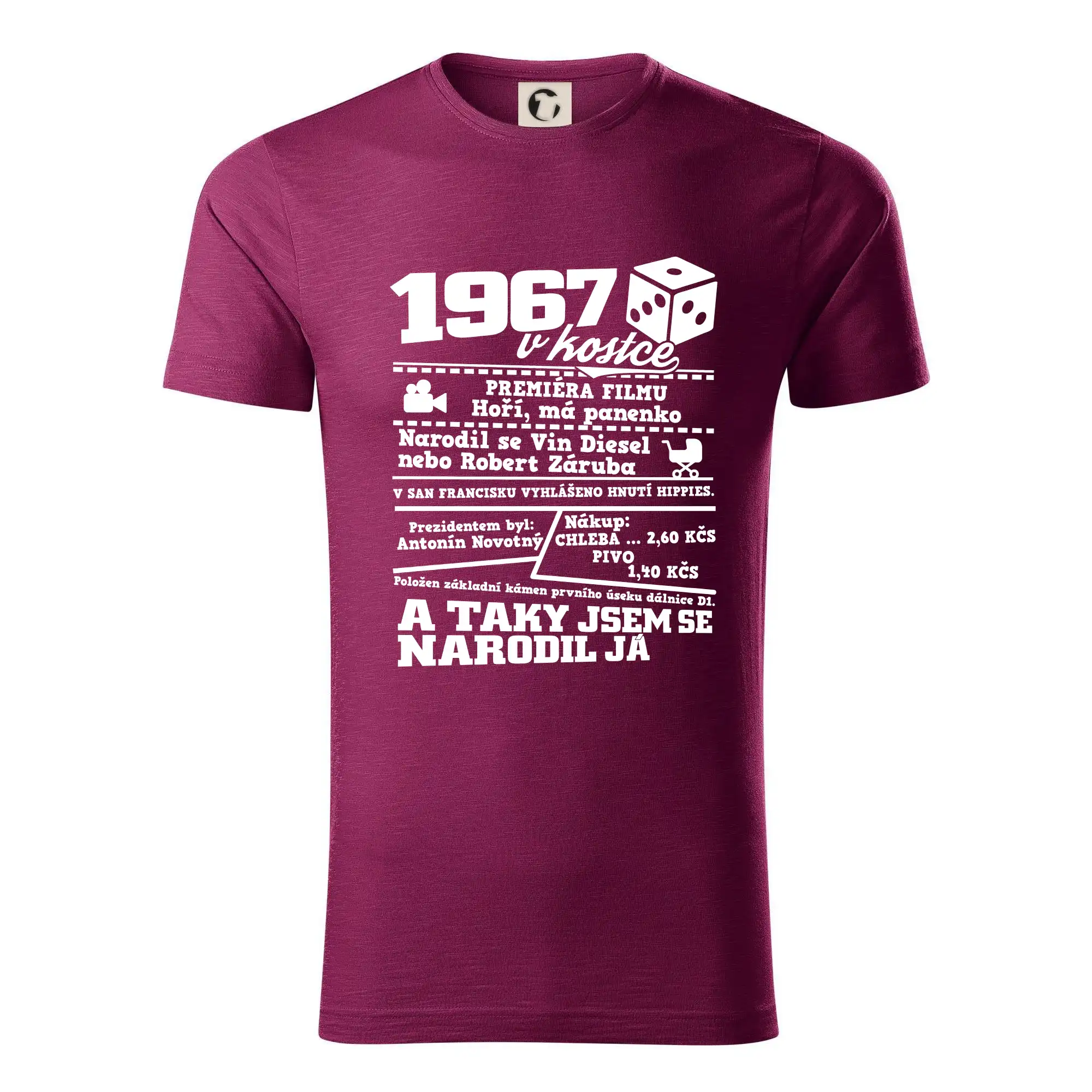 1967 v kostce