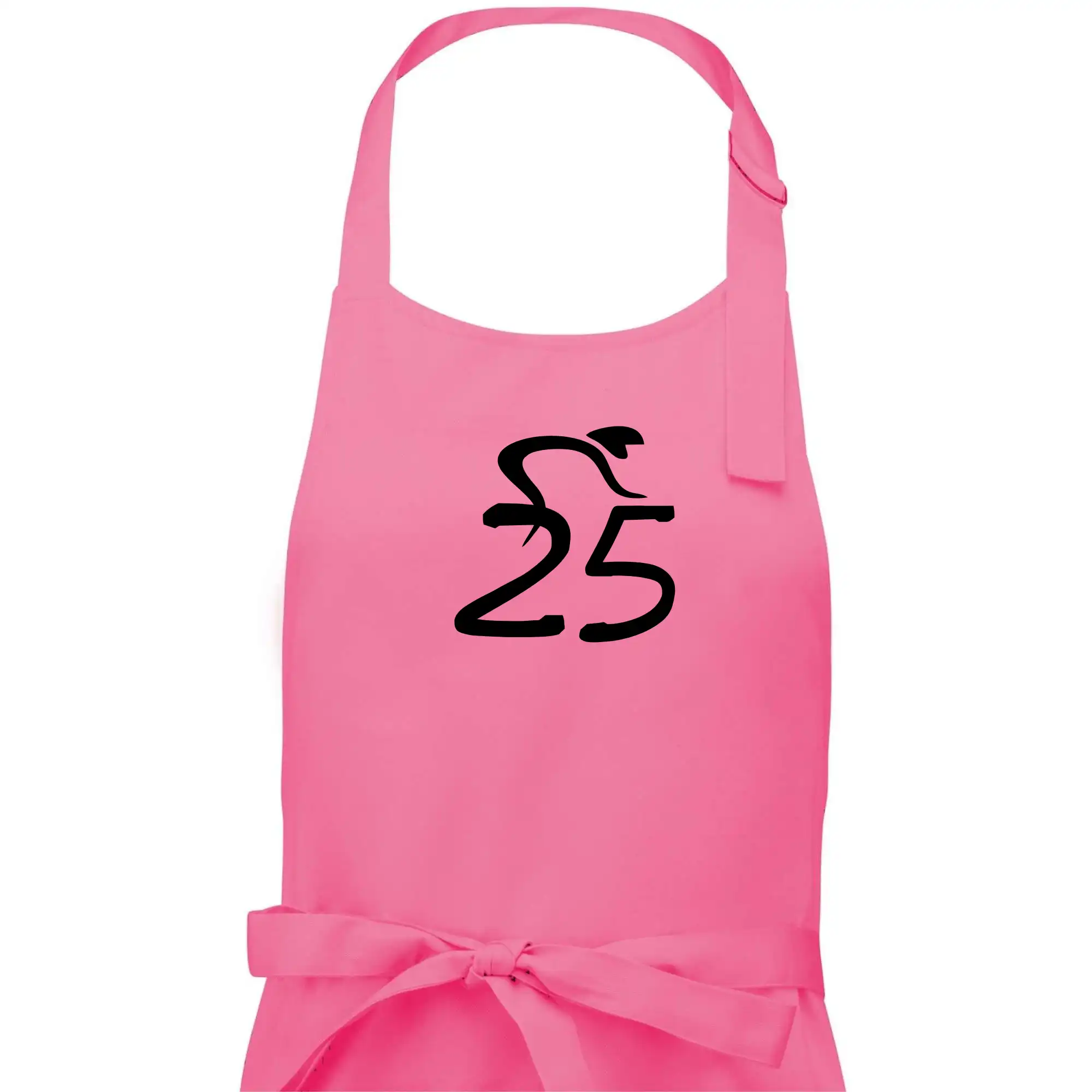 Cyklista slaví pětadvacítku (25)