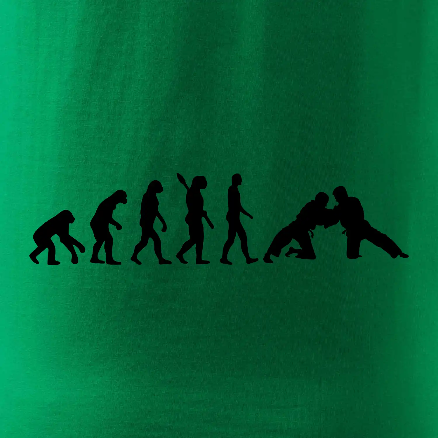 Judo Evoluce