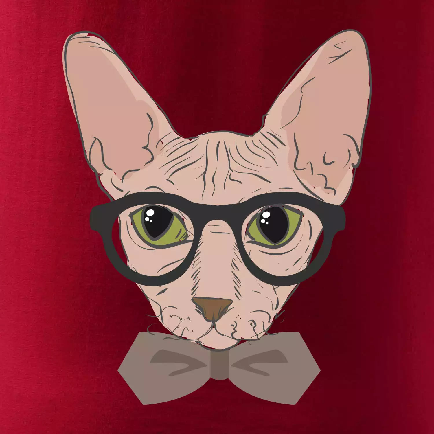 Hipster sphynx