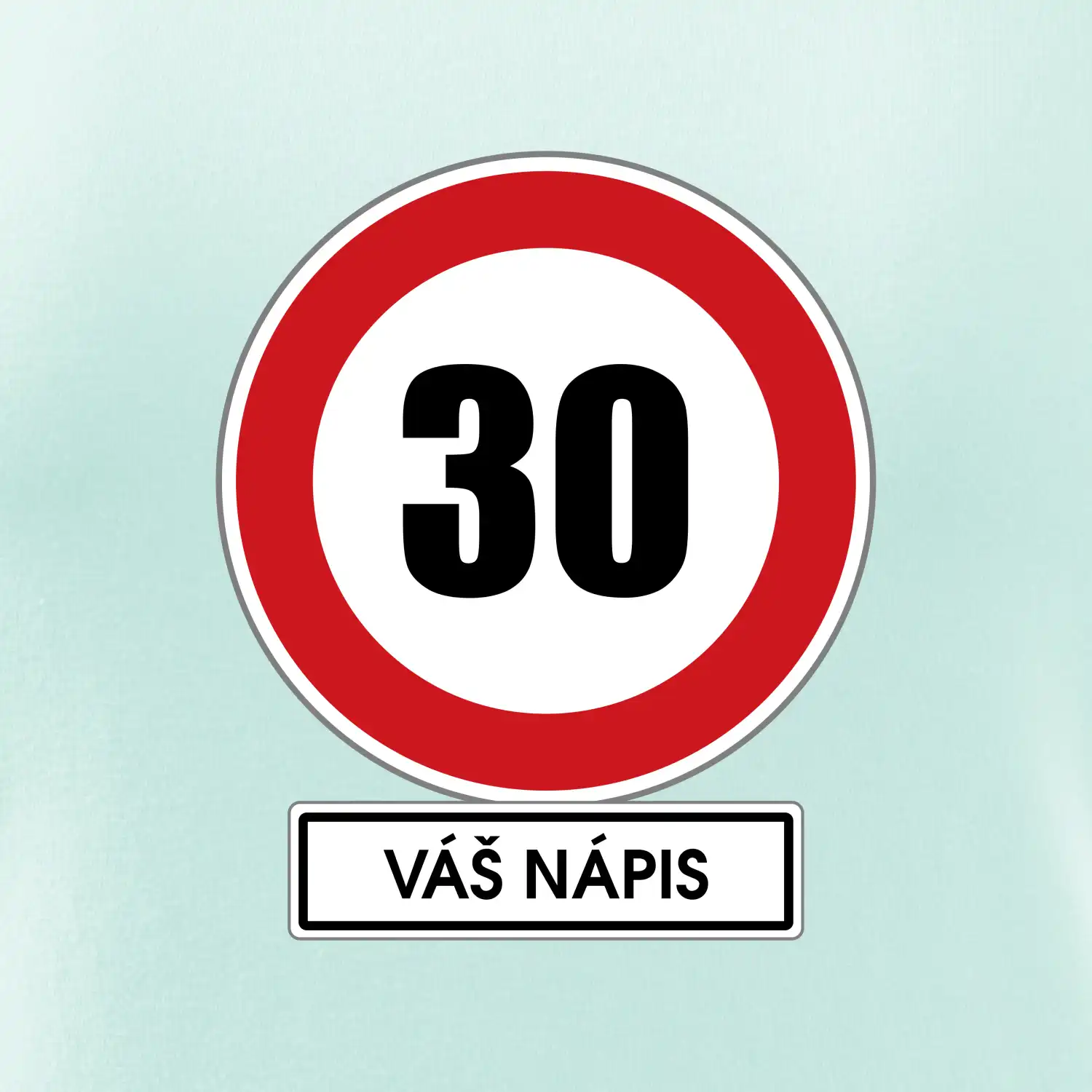 Dopravní značka - rychlost 30 - váš nápis