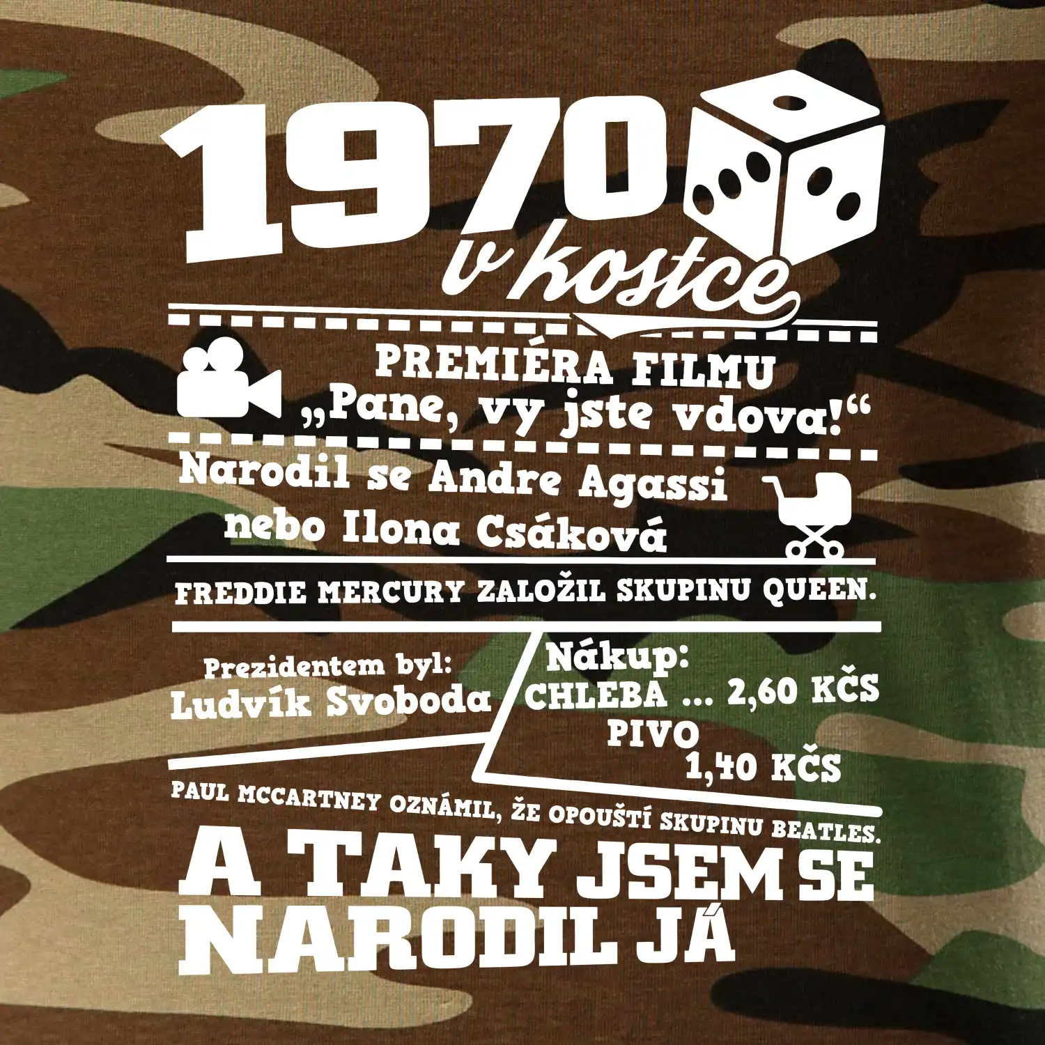 1970 v kostce