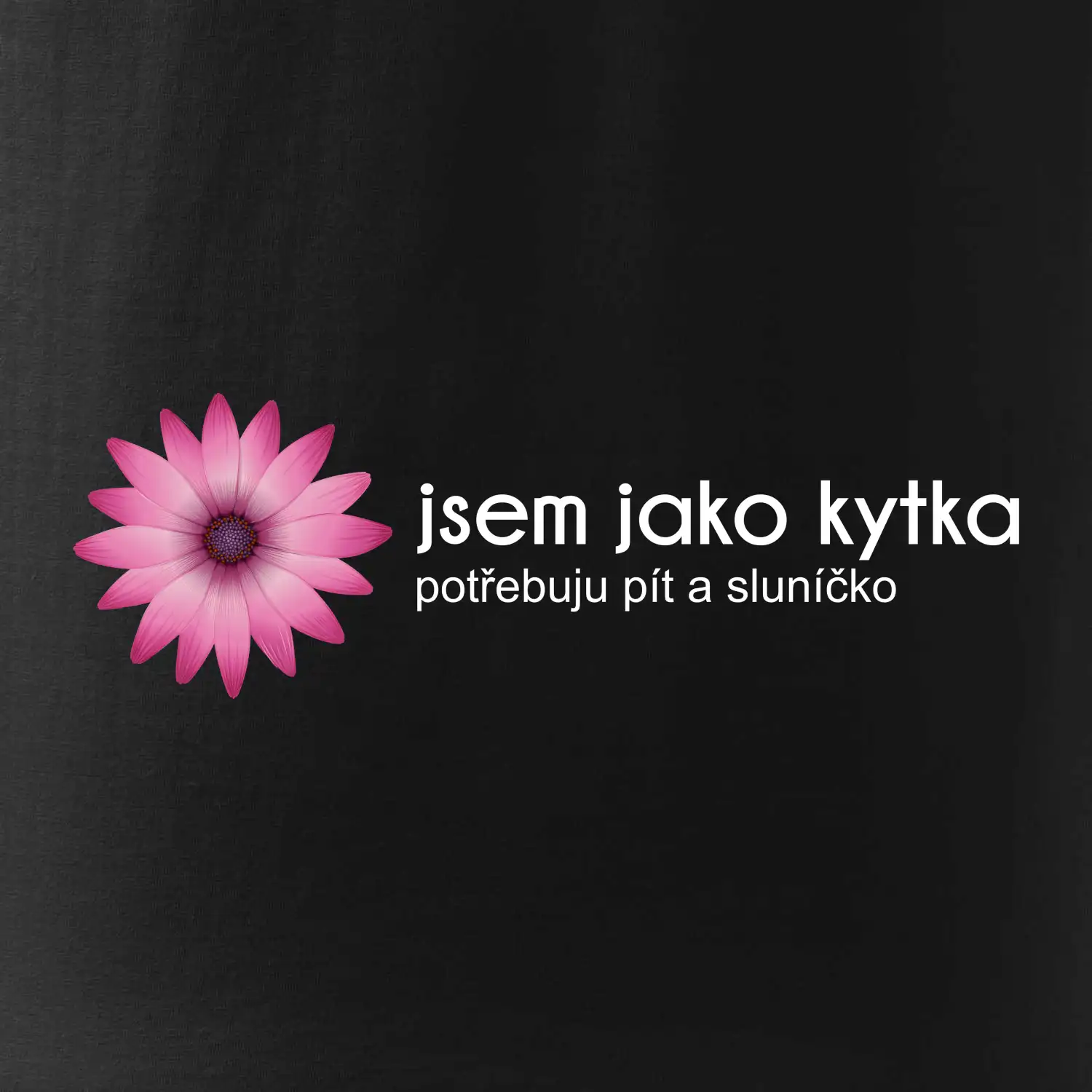 Jsem jako kytka potřebuju pít a sluníčko