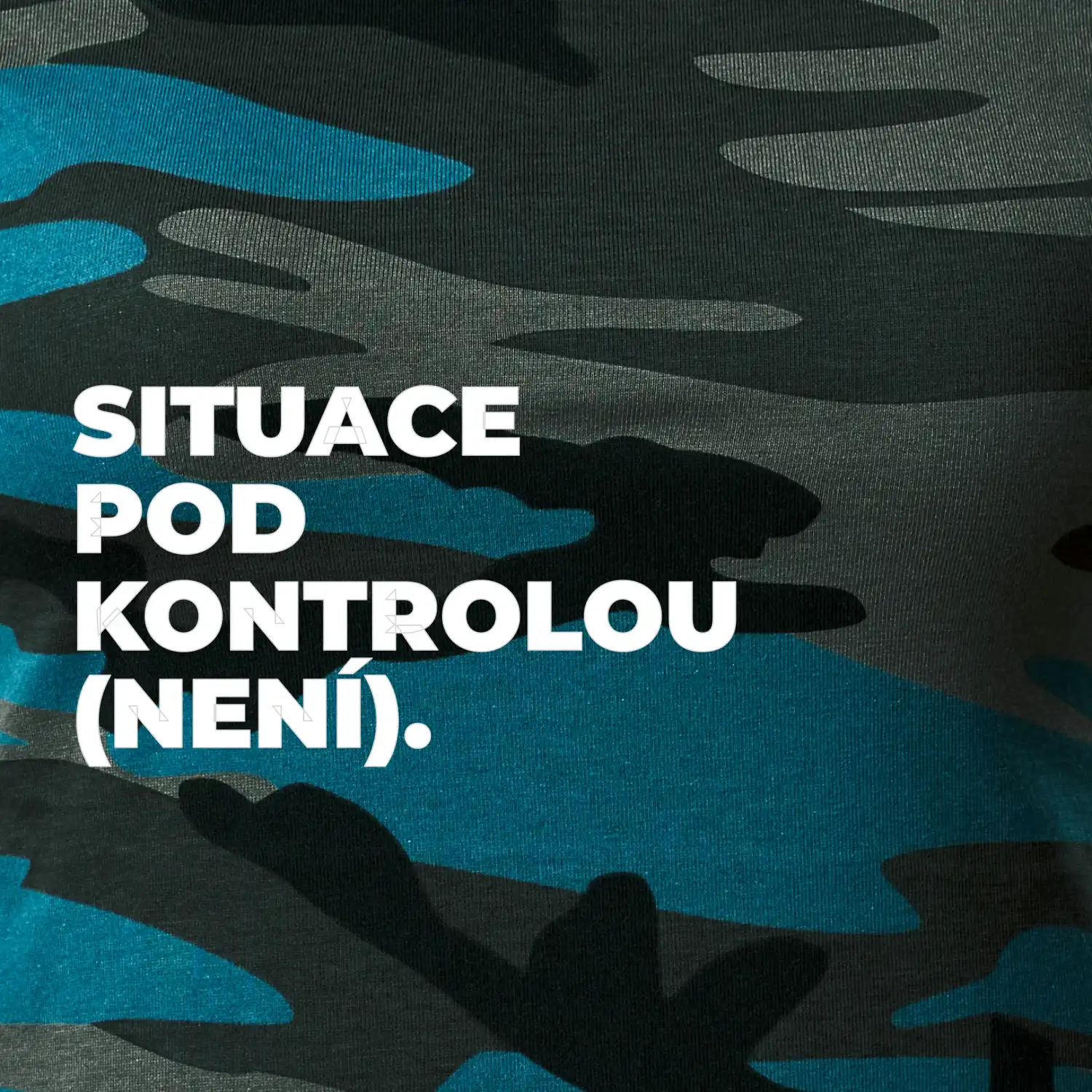 SITUACE POD KONTROLOU (NENÍ).