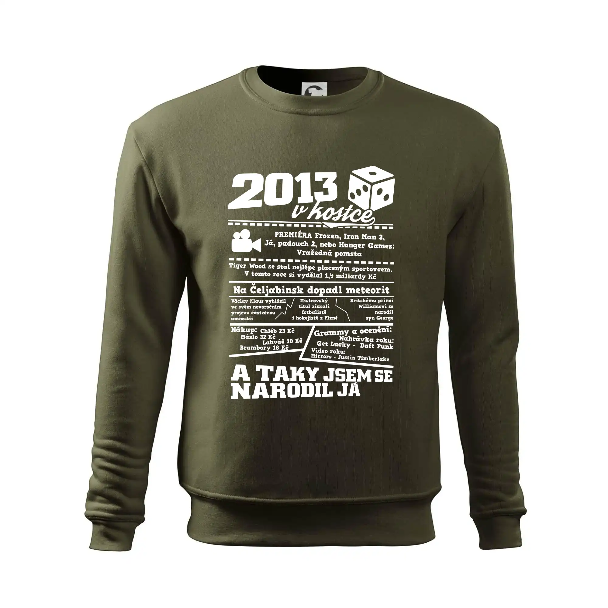 2013 v kostce