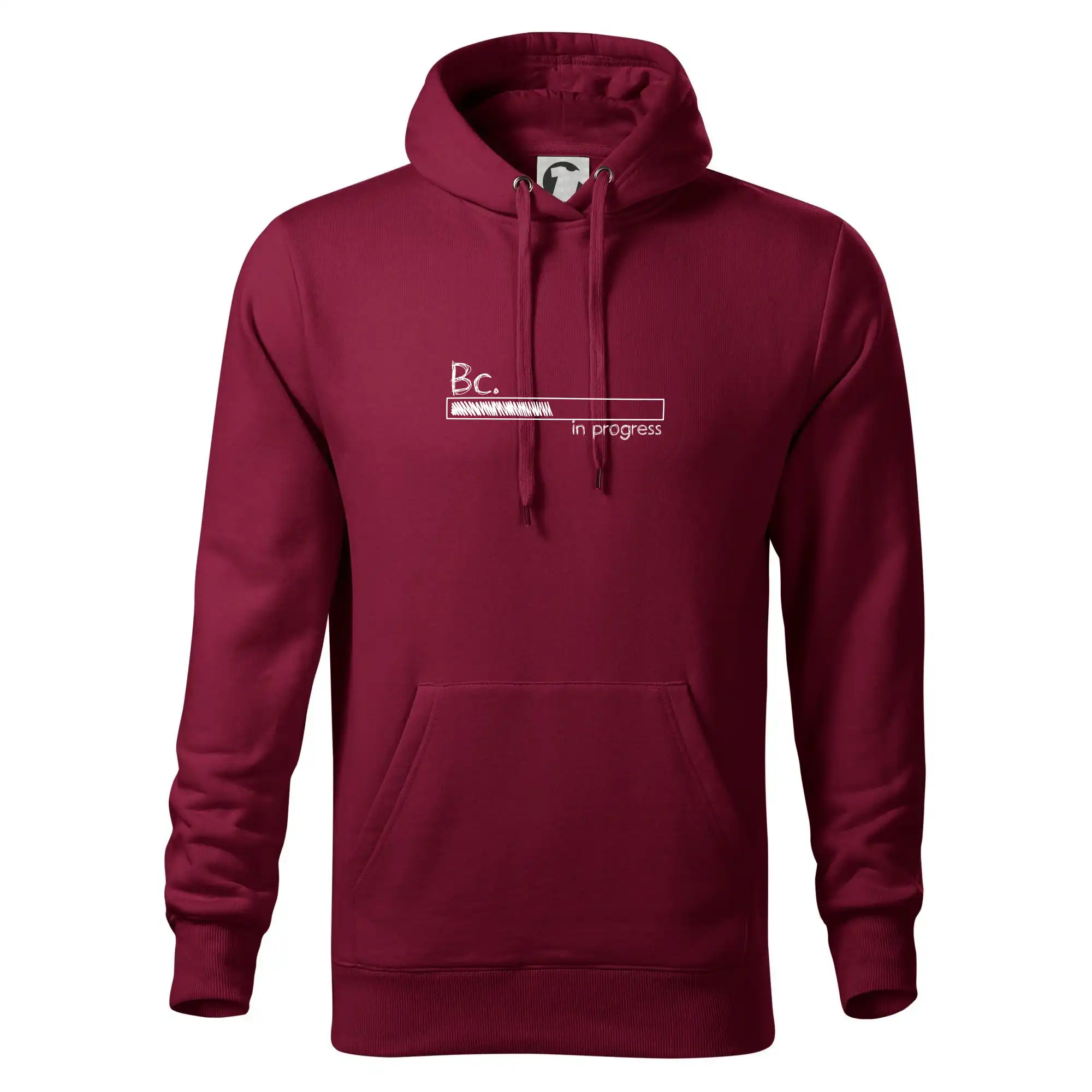 In progress  titul Bc. bakalář / bakalářka