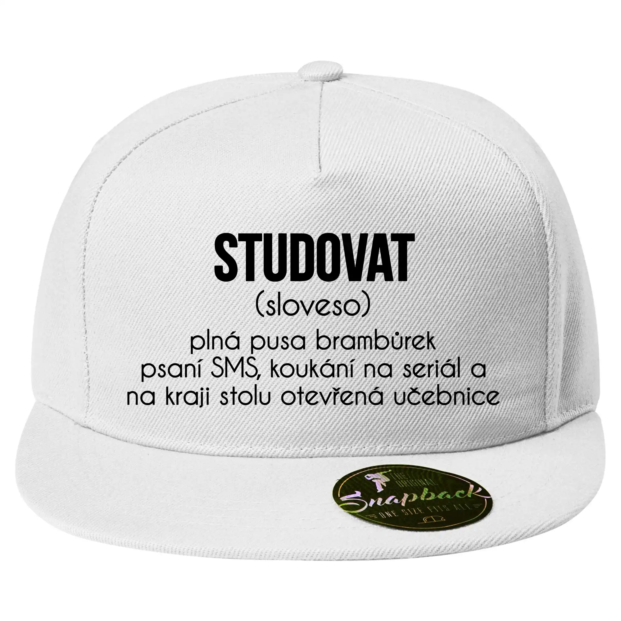 Studovat