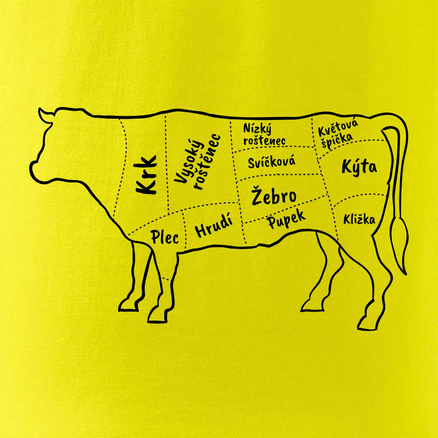 Kráva nákres s názvy