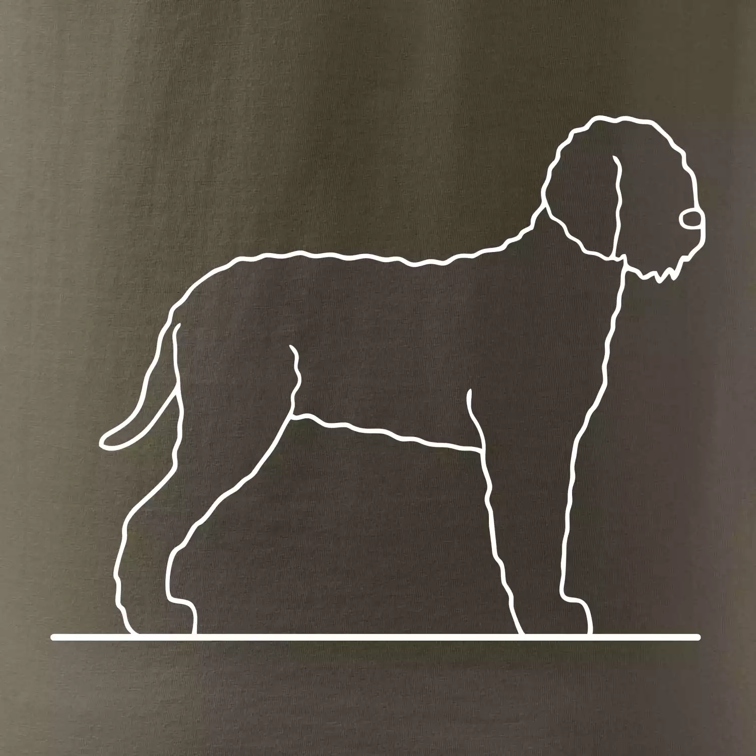 Lagotto romagnolo stojící