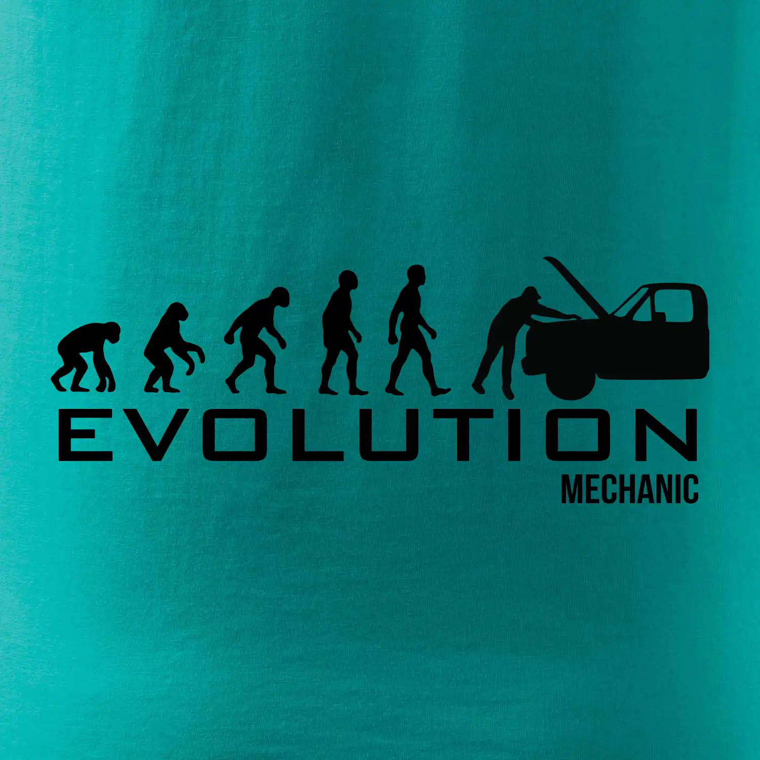 Evoluce mechanik