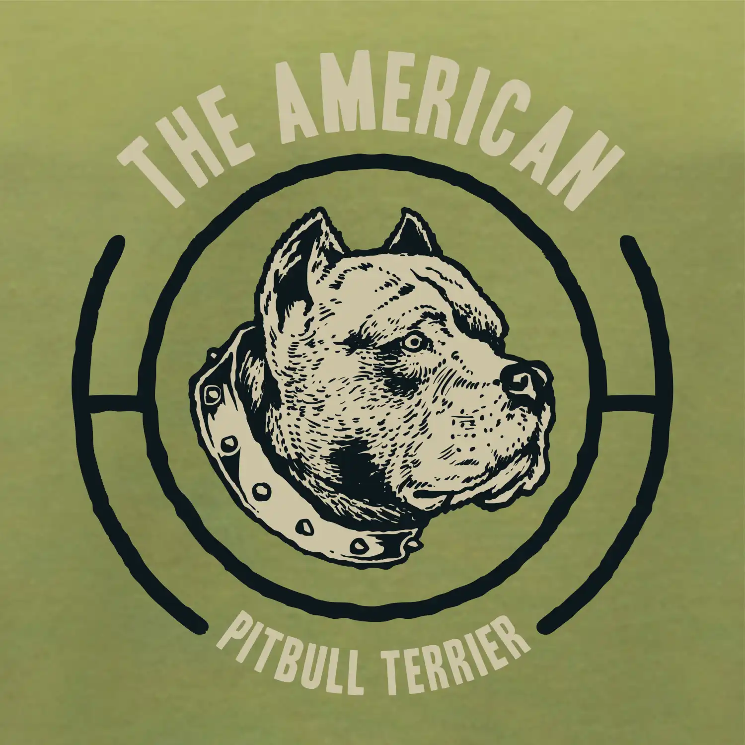 Americký pitbull terier hlava