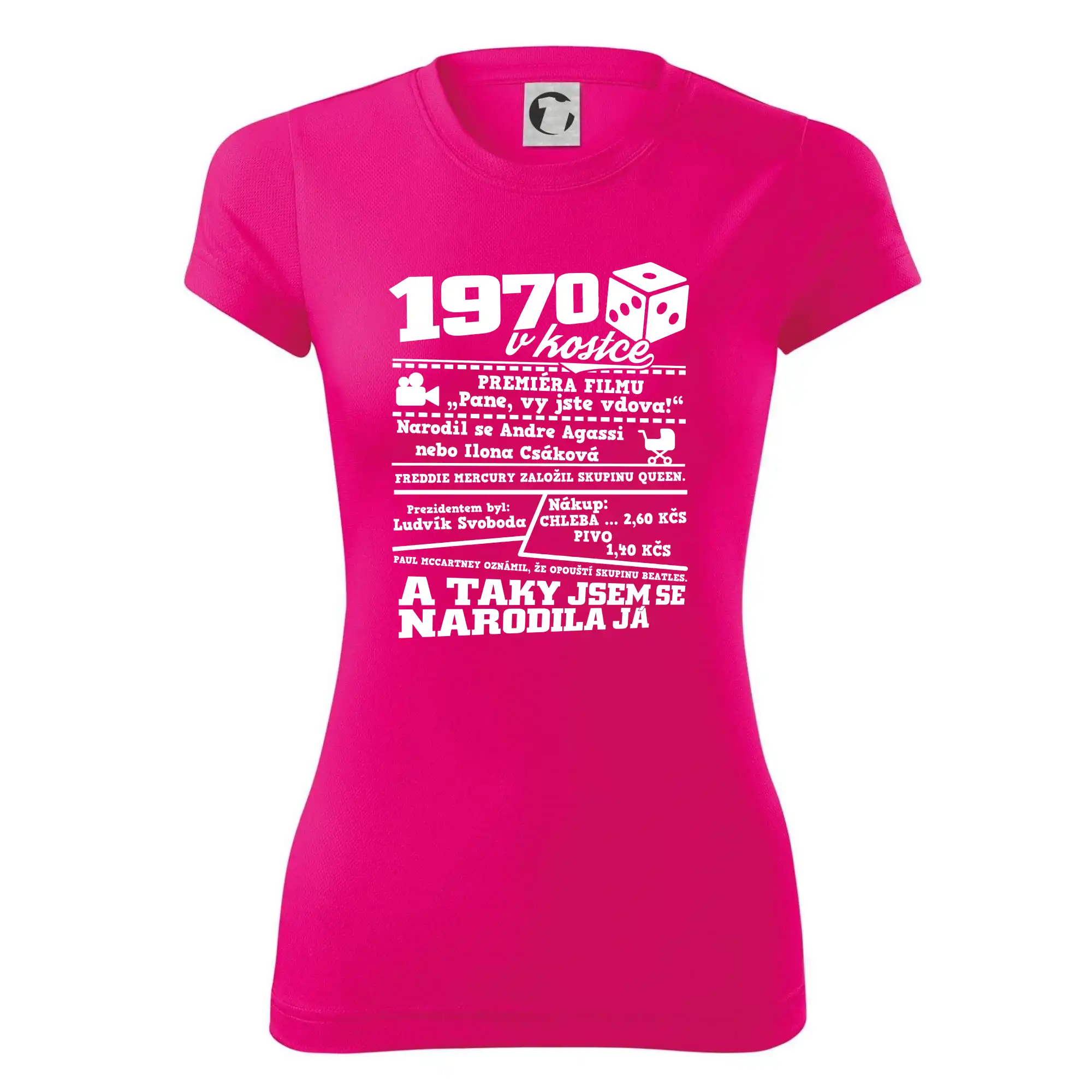 1970 v kostce