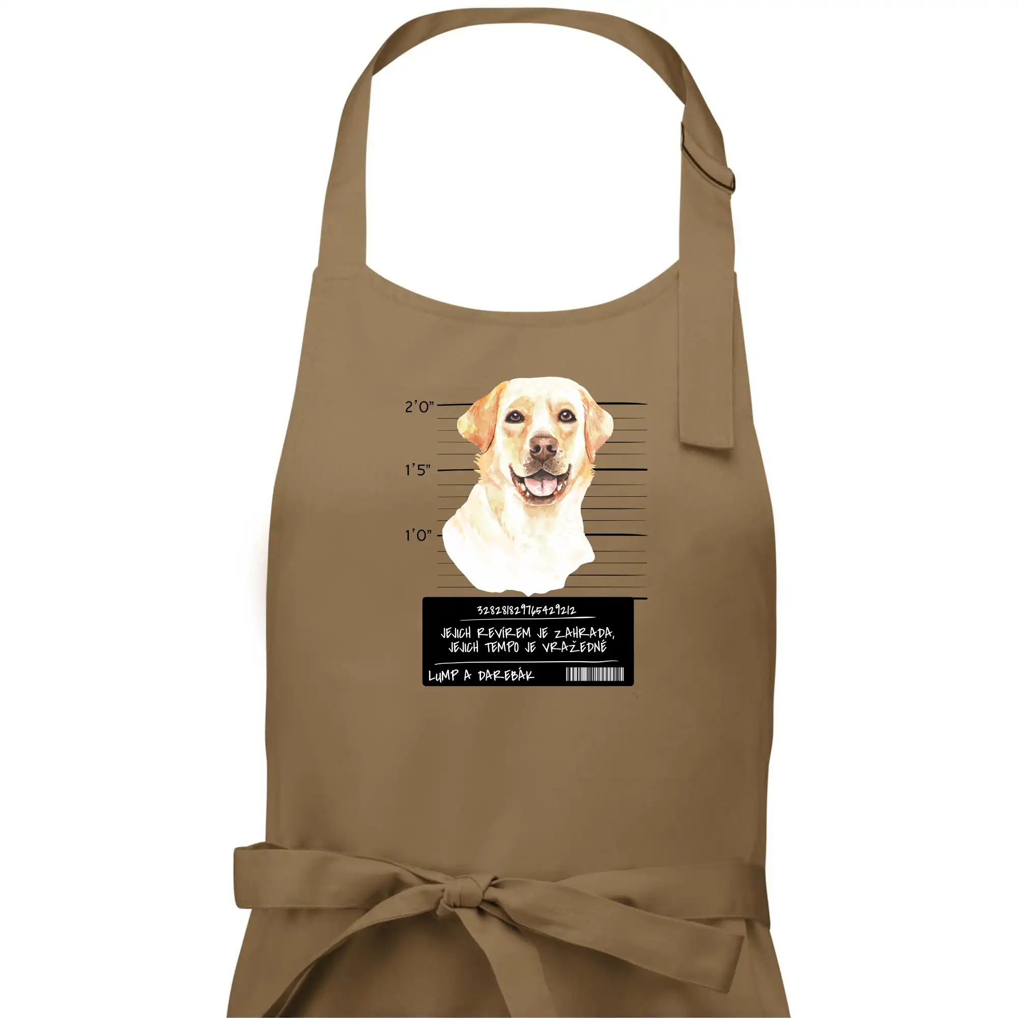 Lump a darebák labrador