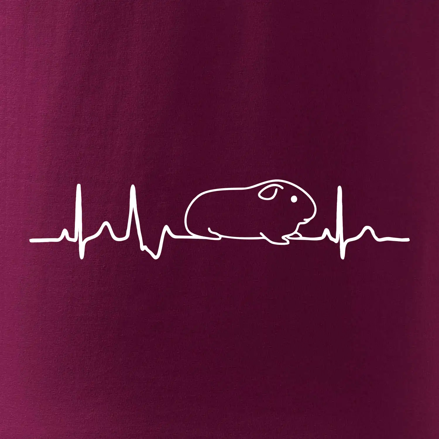 EKG morče