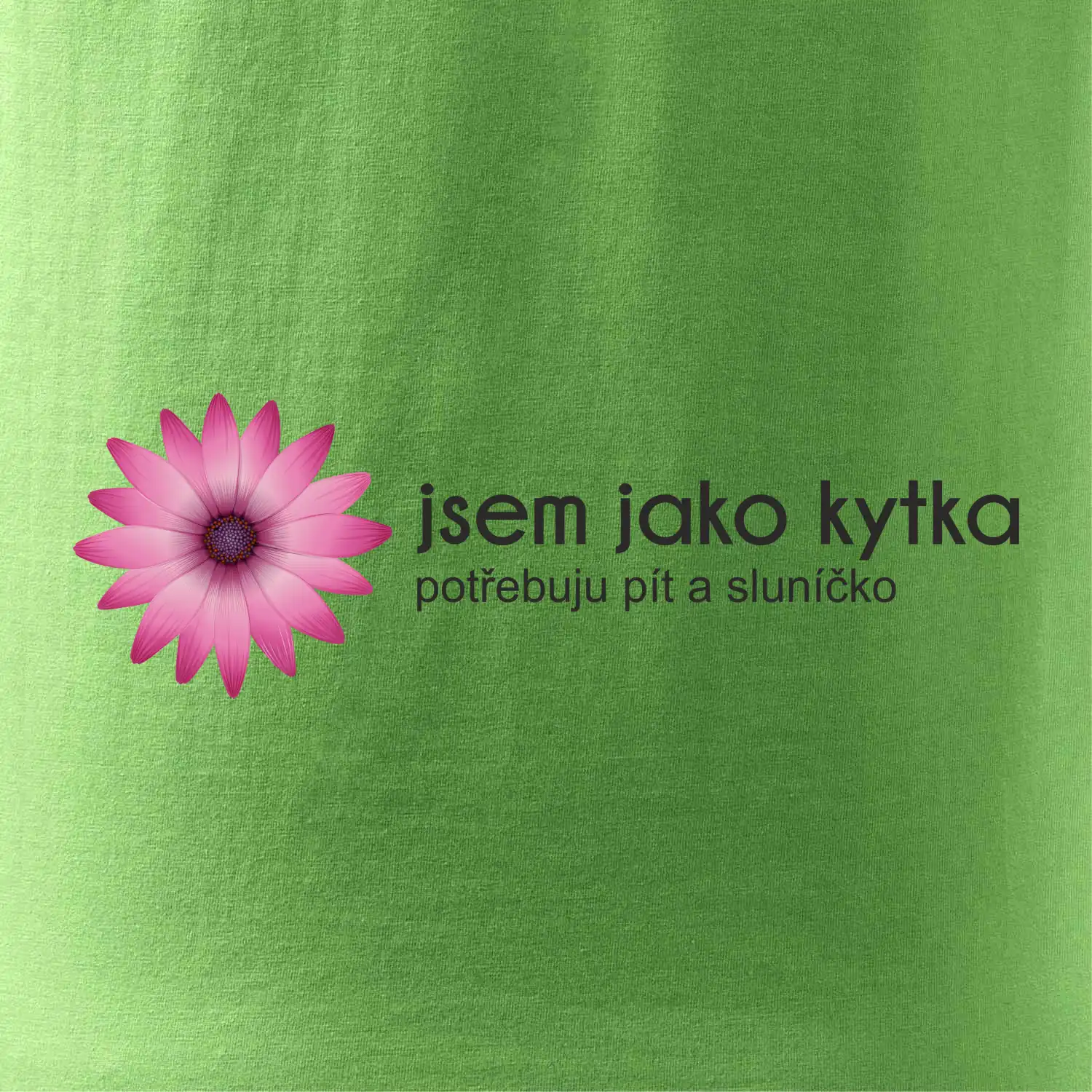 Jsem jako kytka potřebuju pít a sluníčko