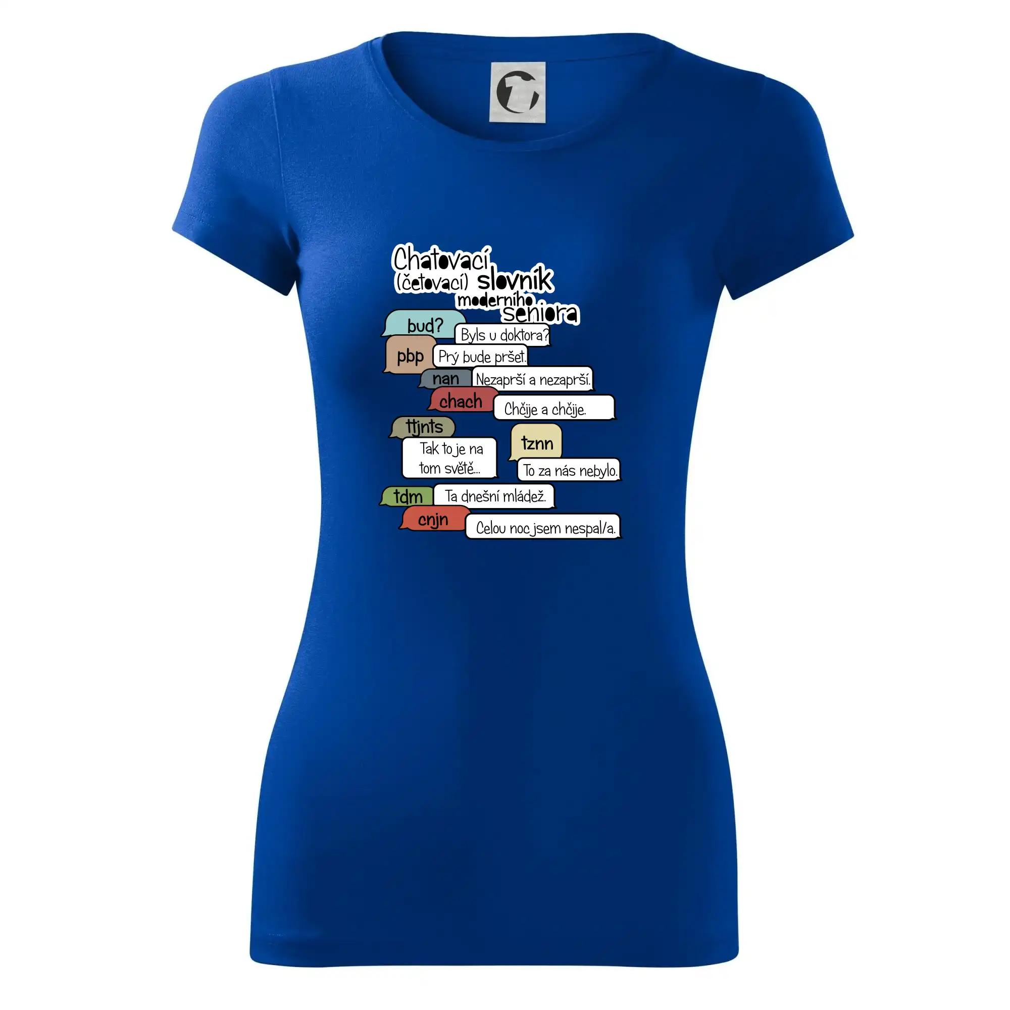 Chatovací slovník moderního seniora (Běžící češtinář)