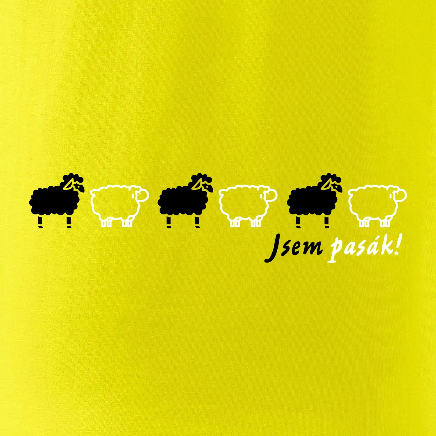 Jsem pasák - ovce v řadě