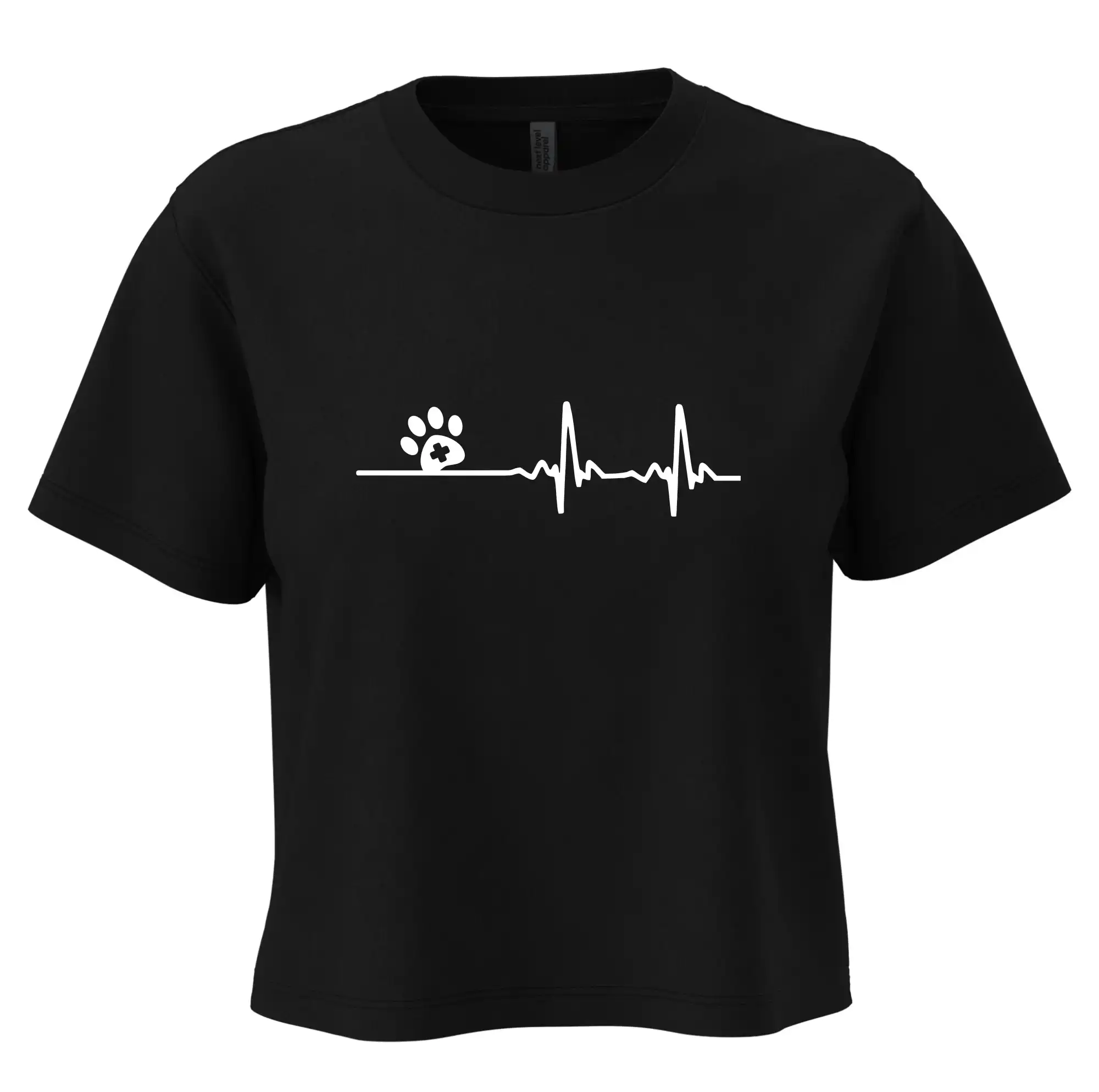 Veterinář EKG