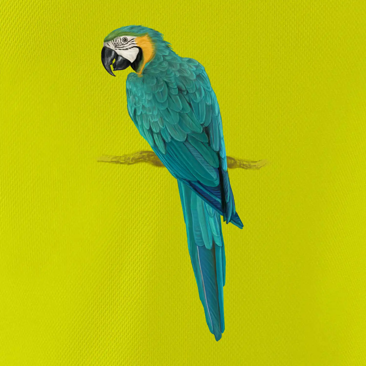 Ara