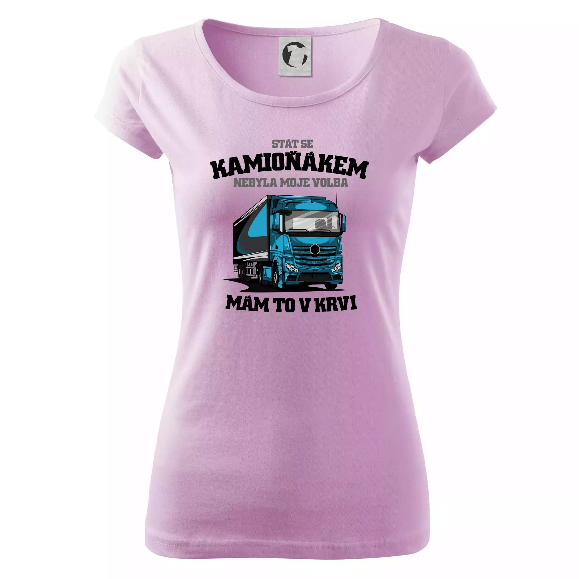 Stát se kamioňákem nebyla moje volba
