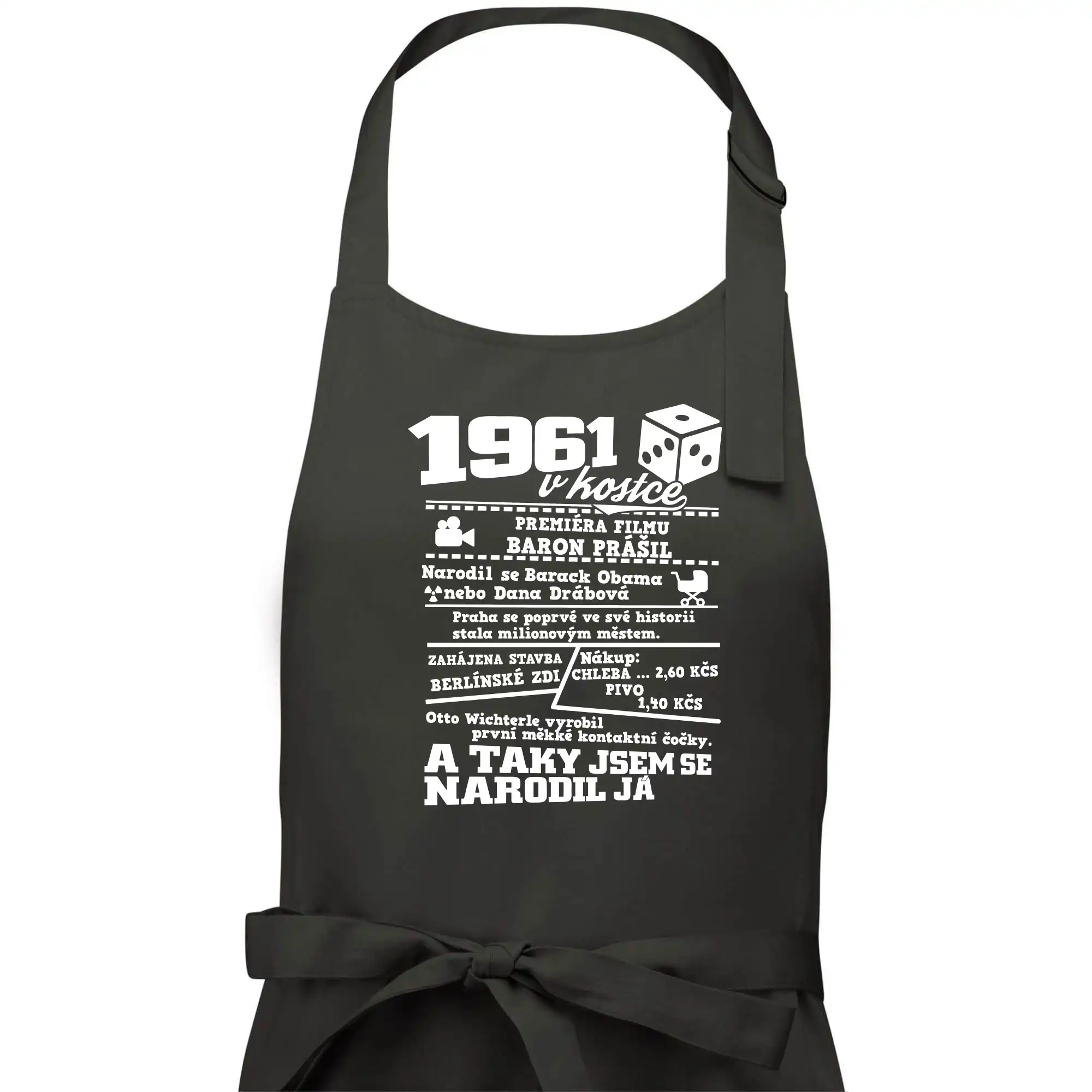 1961 v kostce