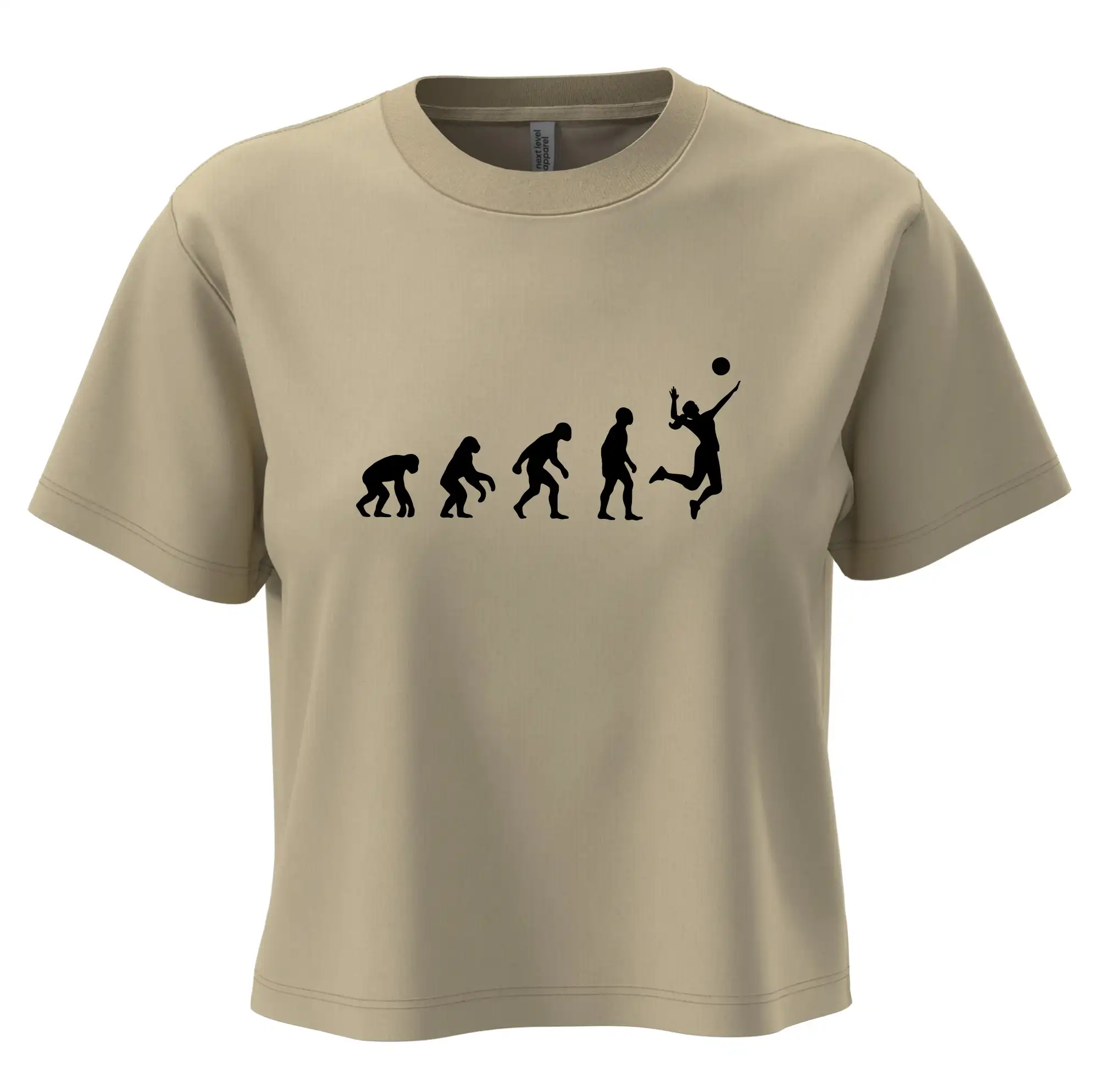 Evoluce volejbal culík