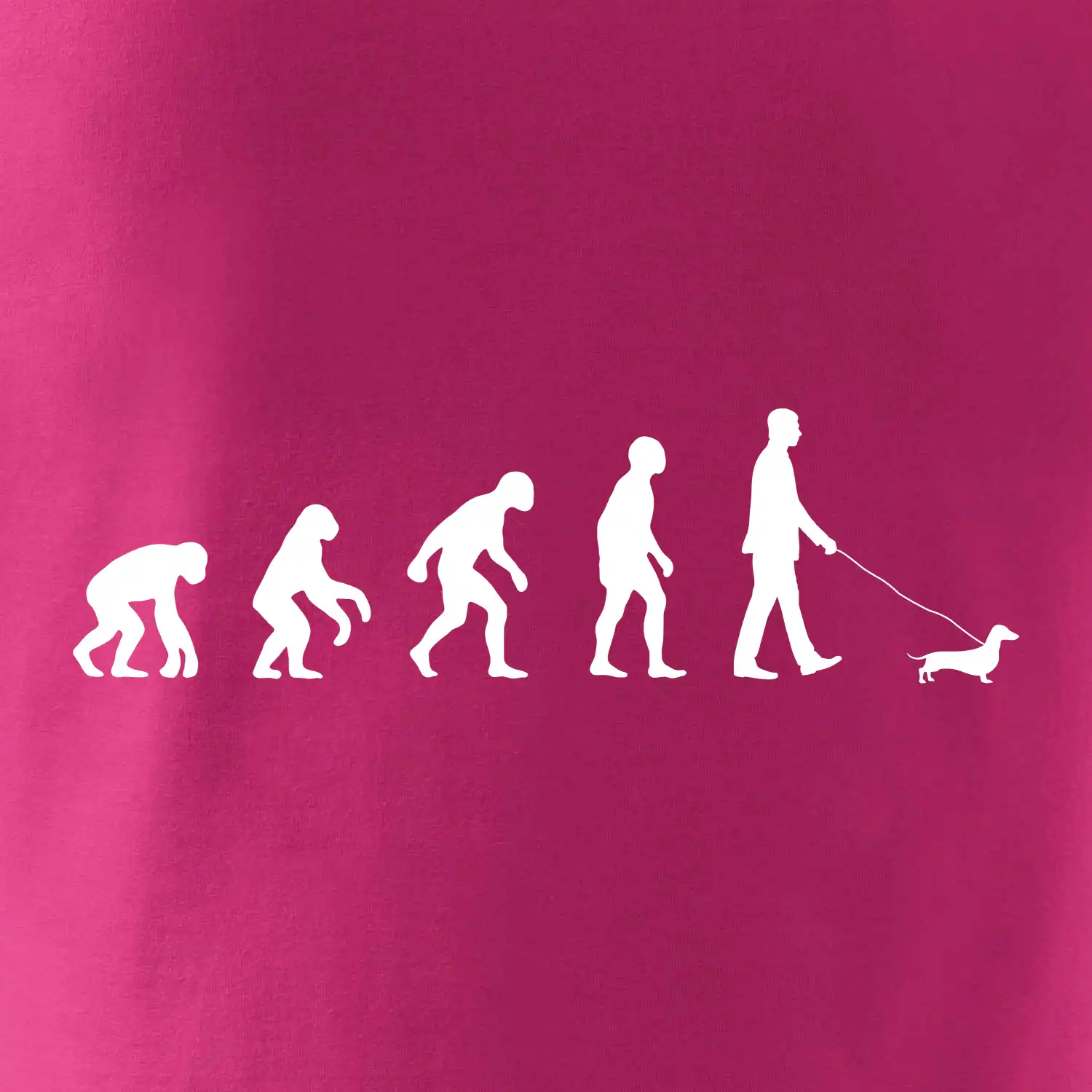 Jezevčík Evoluce muž / žena