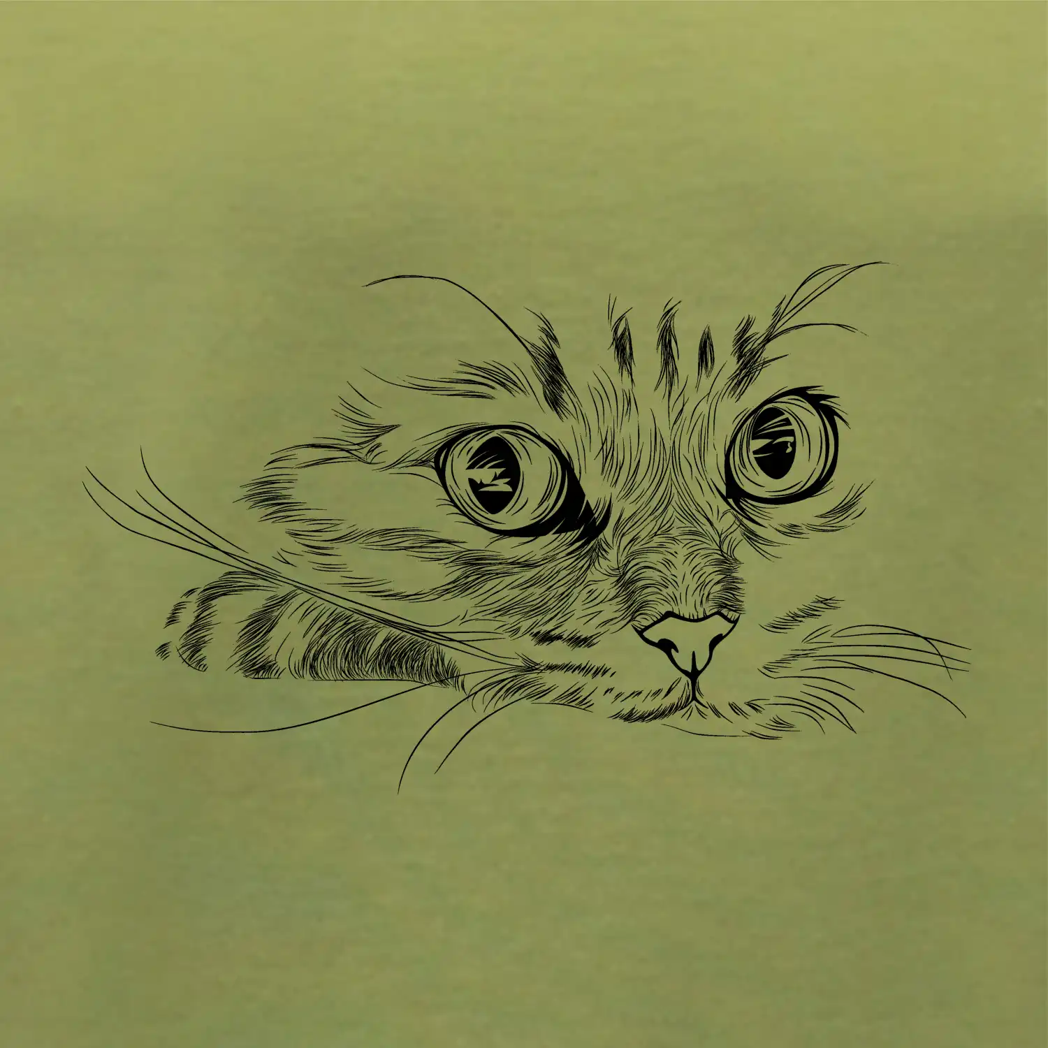 Kočka obličej kreslený