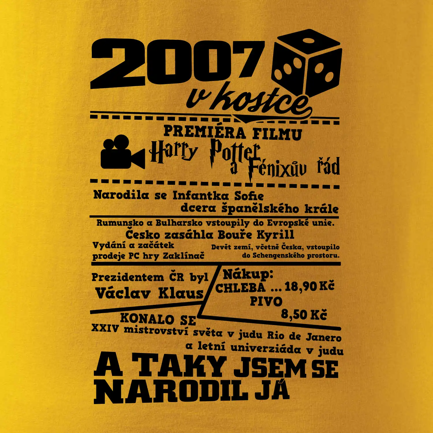 2007 v kostce