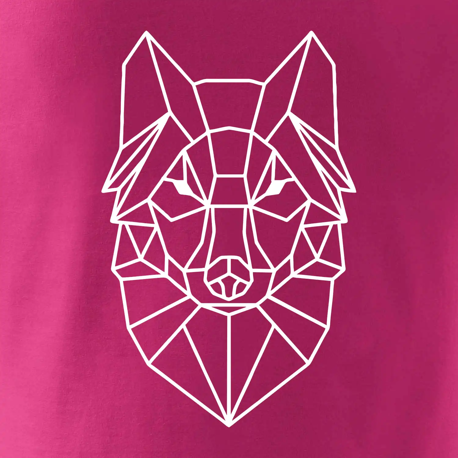 Geometrie - vlk