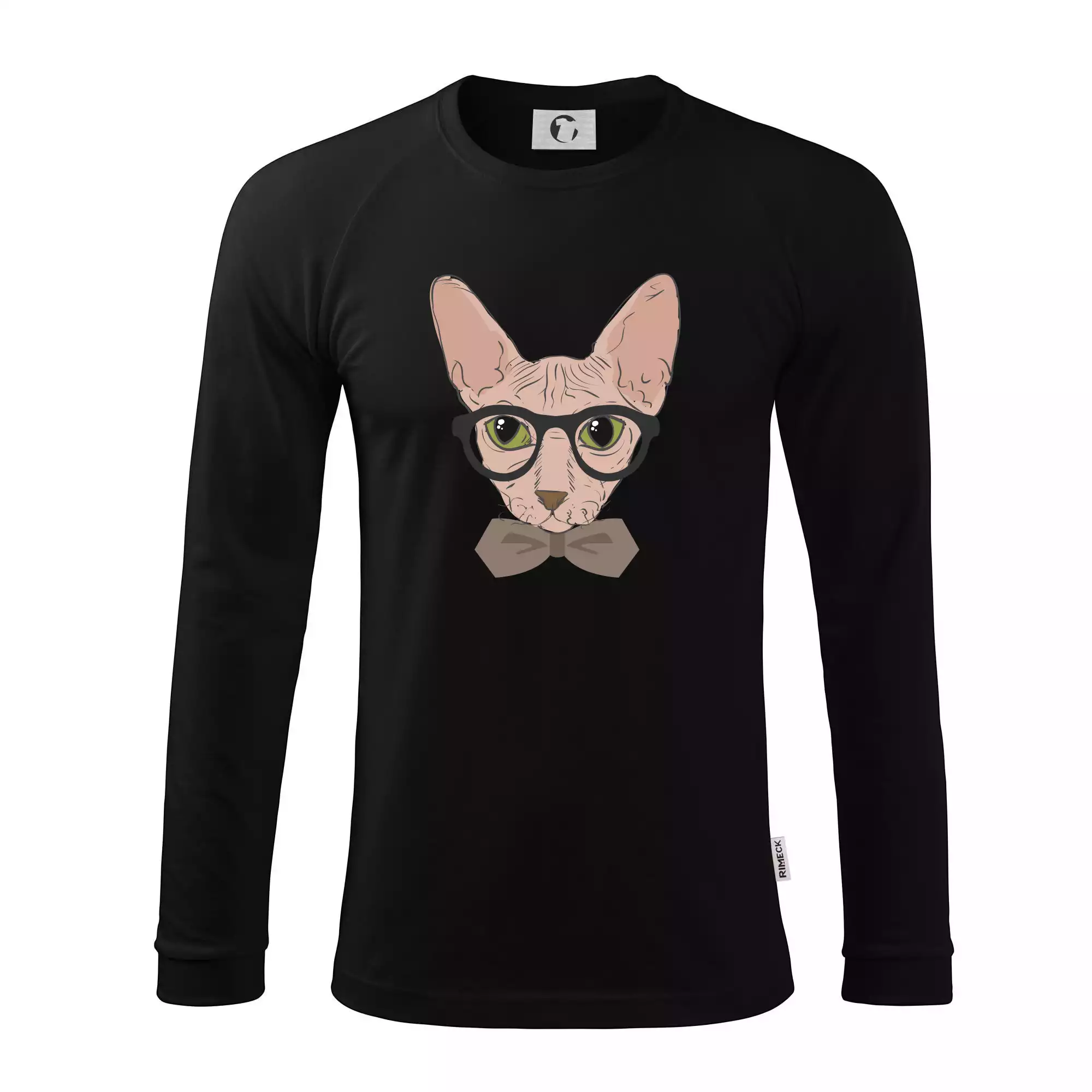 Hipster sphynx