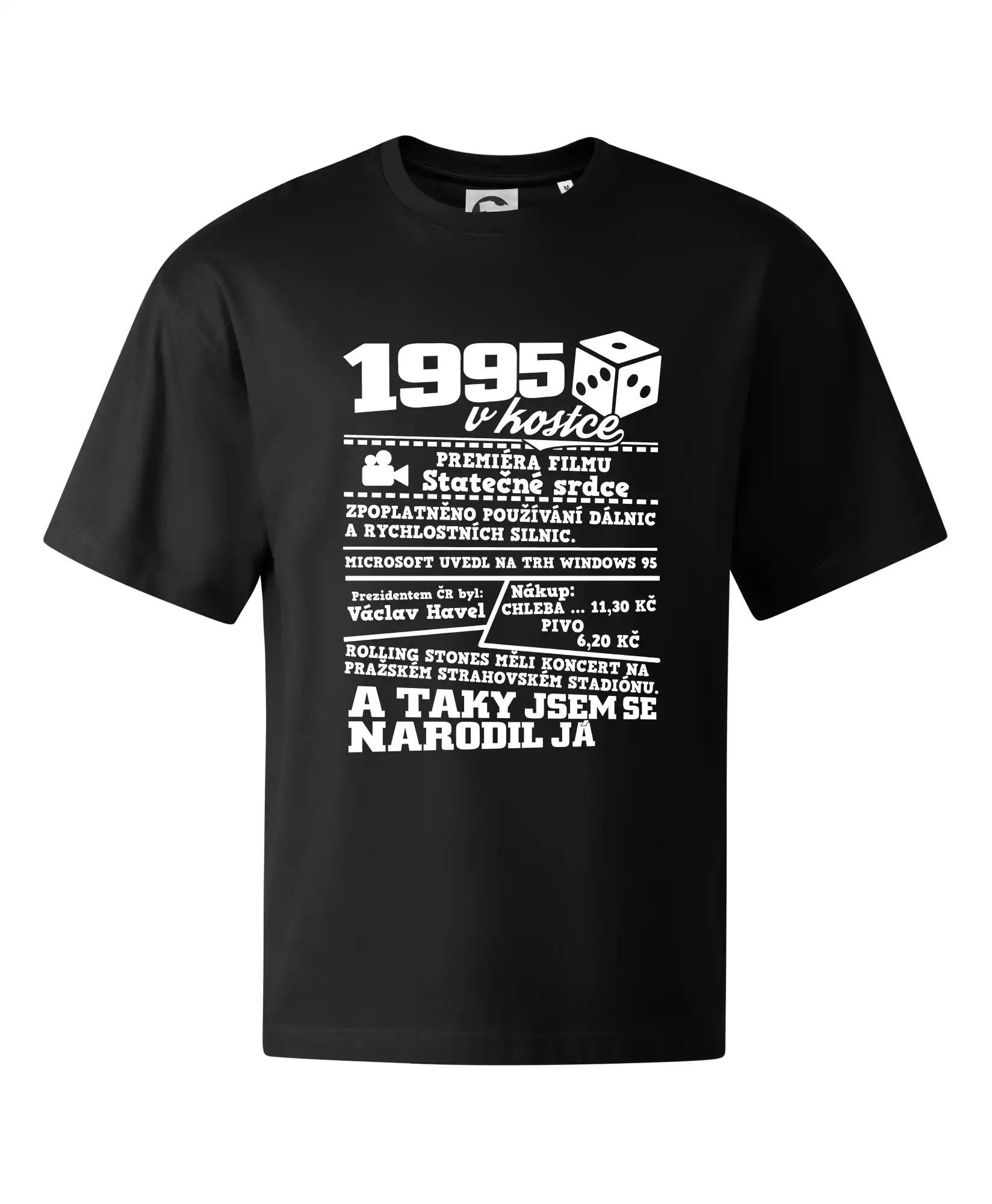 1995 v kostce