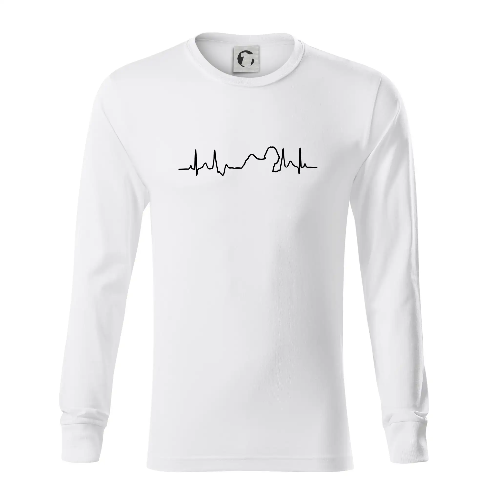 Shih-tzu ekg obrys
