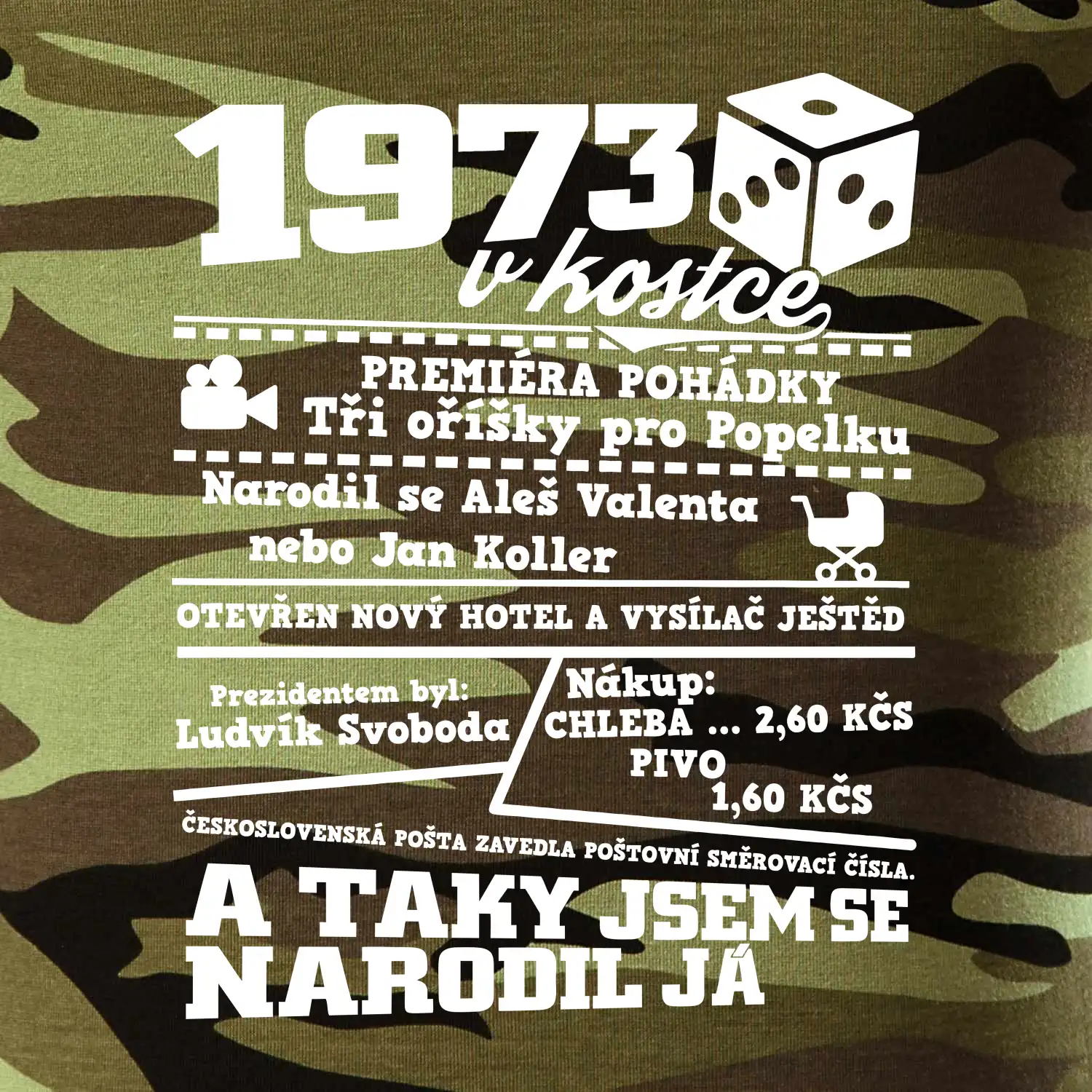 1973 v kostce