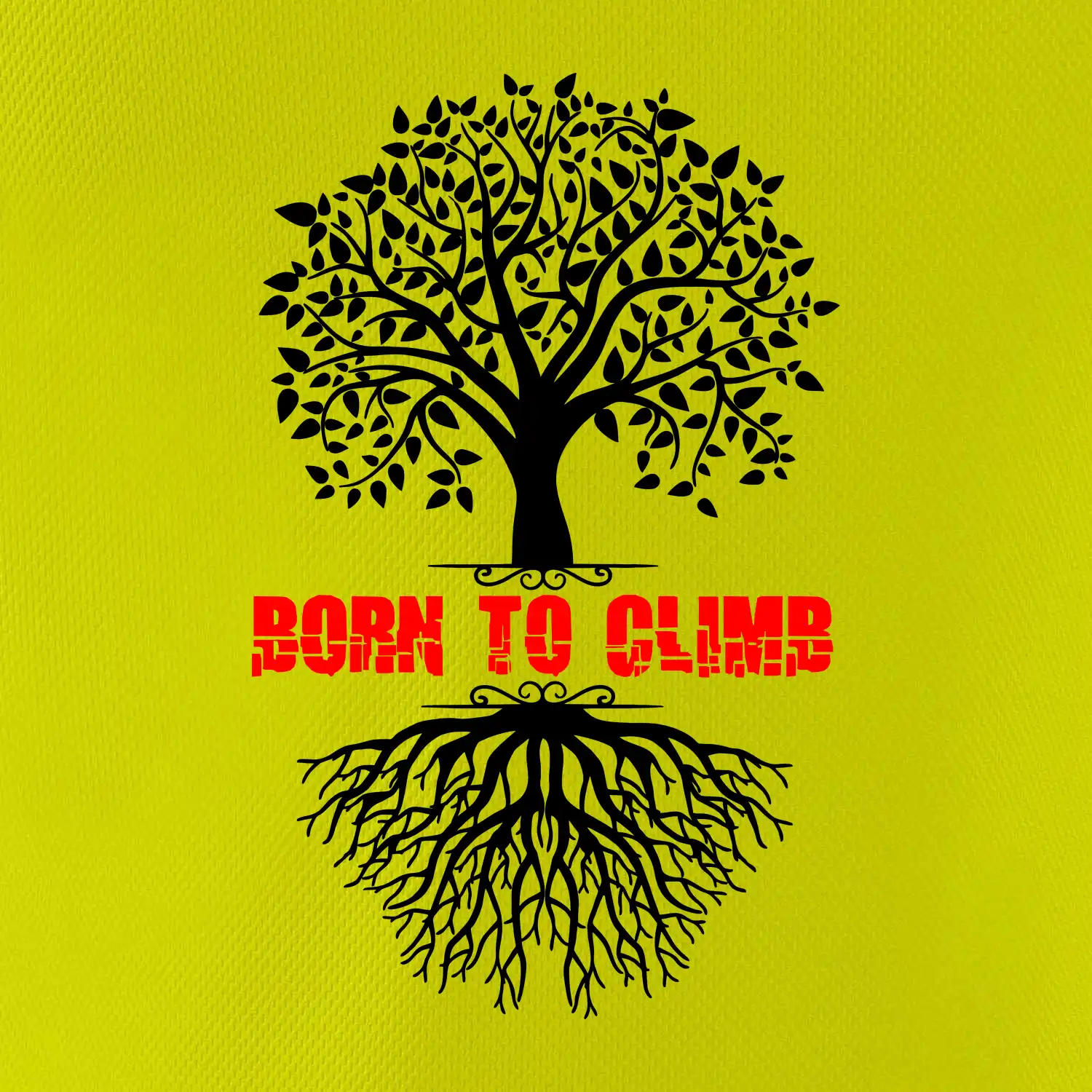 Born to climb