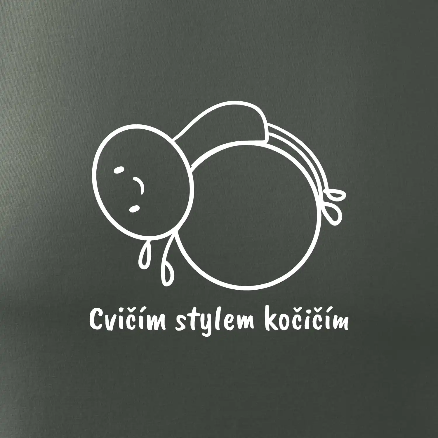 Cvičím stylem kočičím