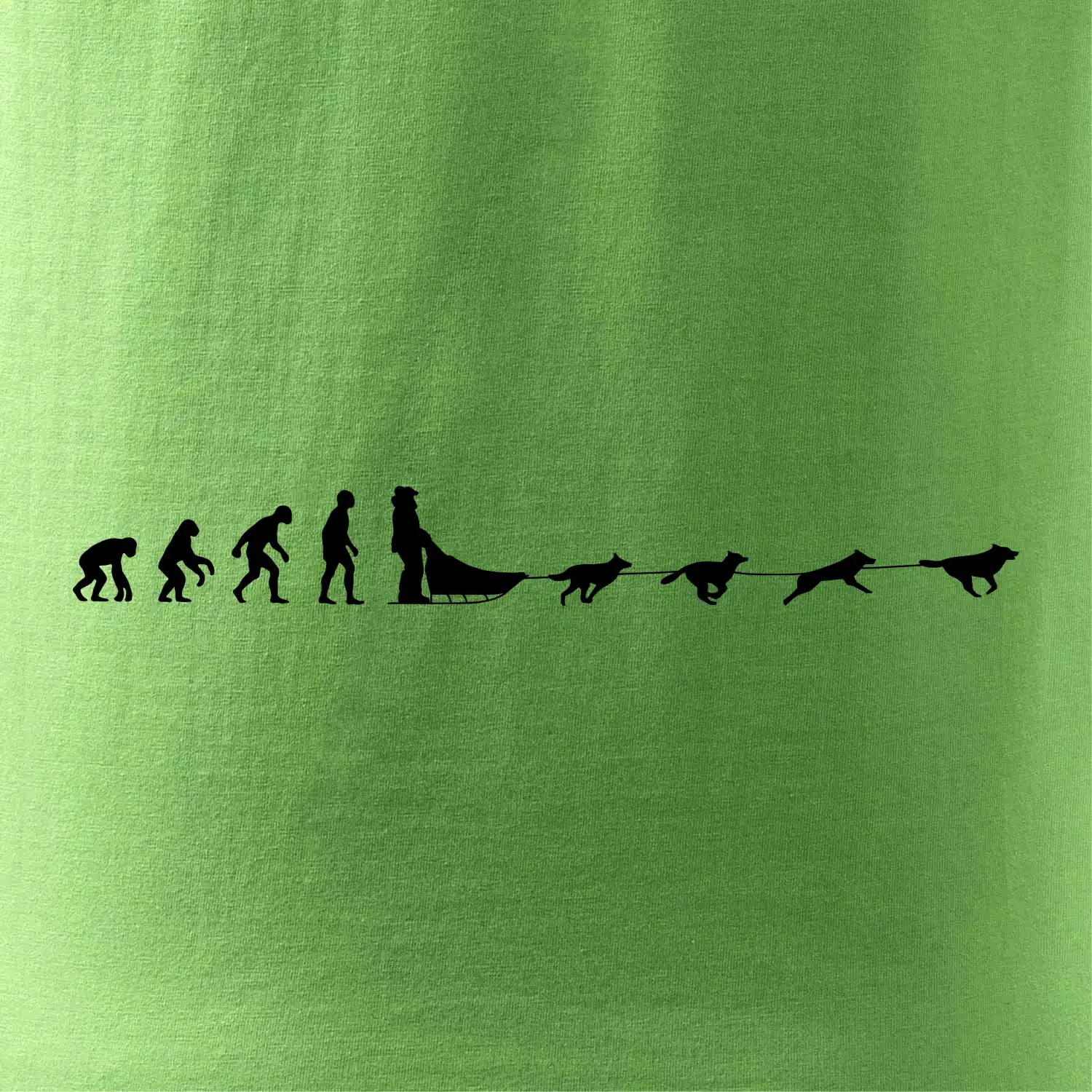 Evoluce psí spřežení