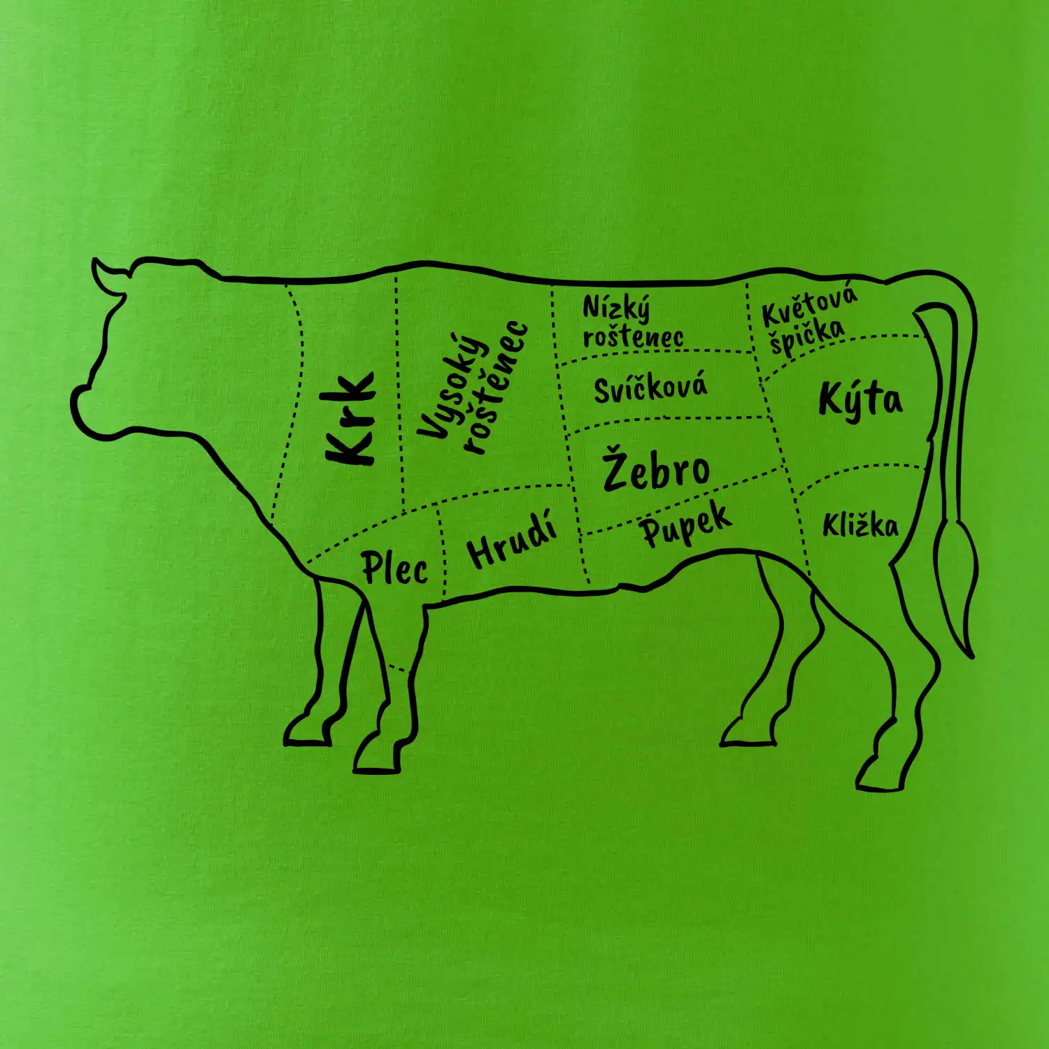 Kráva nákres s názvy