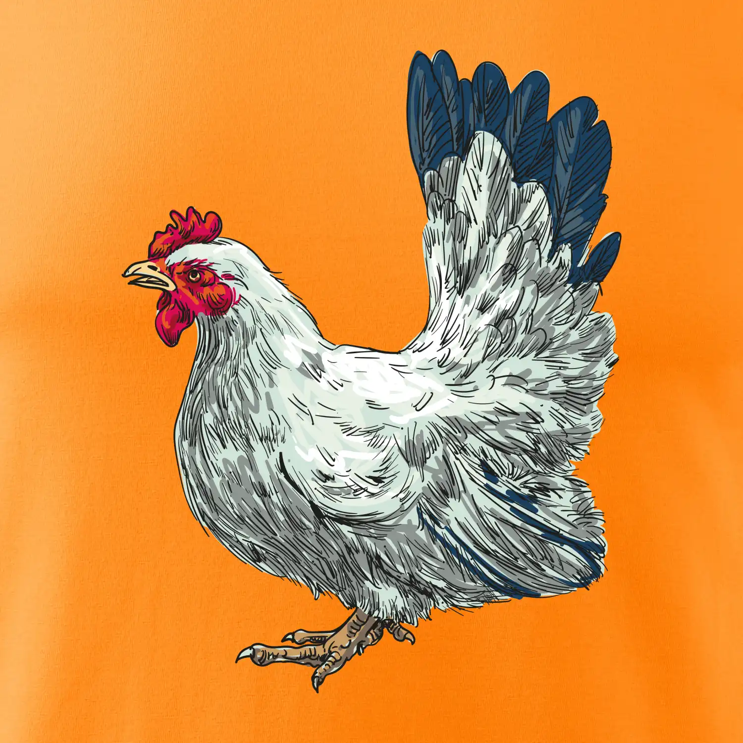 Slepice kreslená bílá