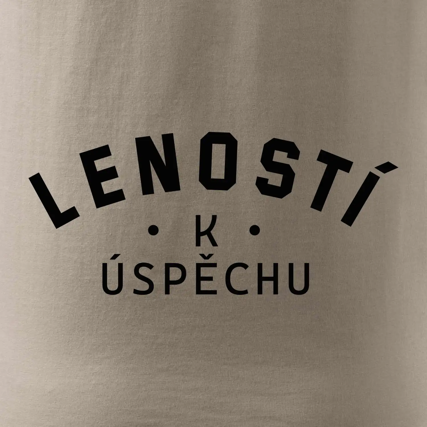 Leností k úspěchu - tiskací
